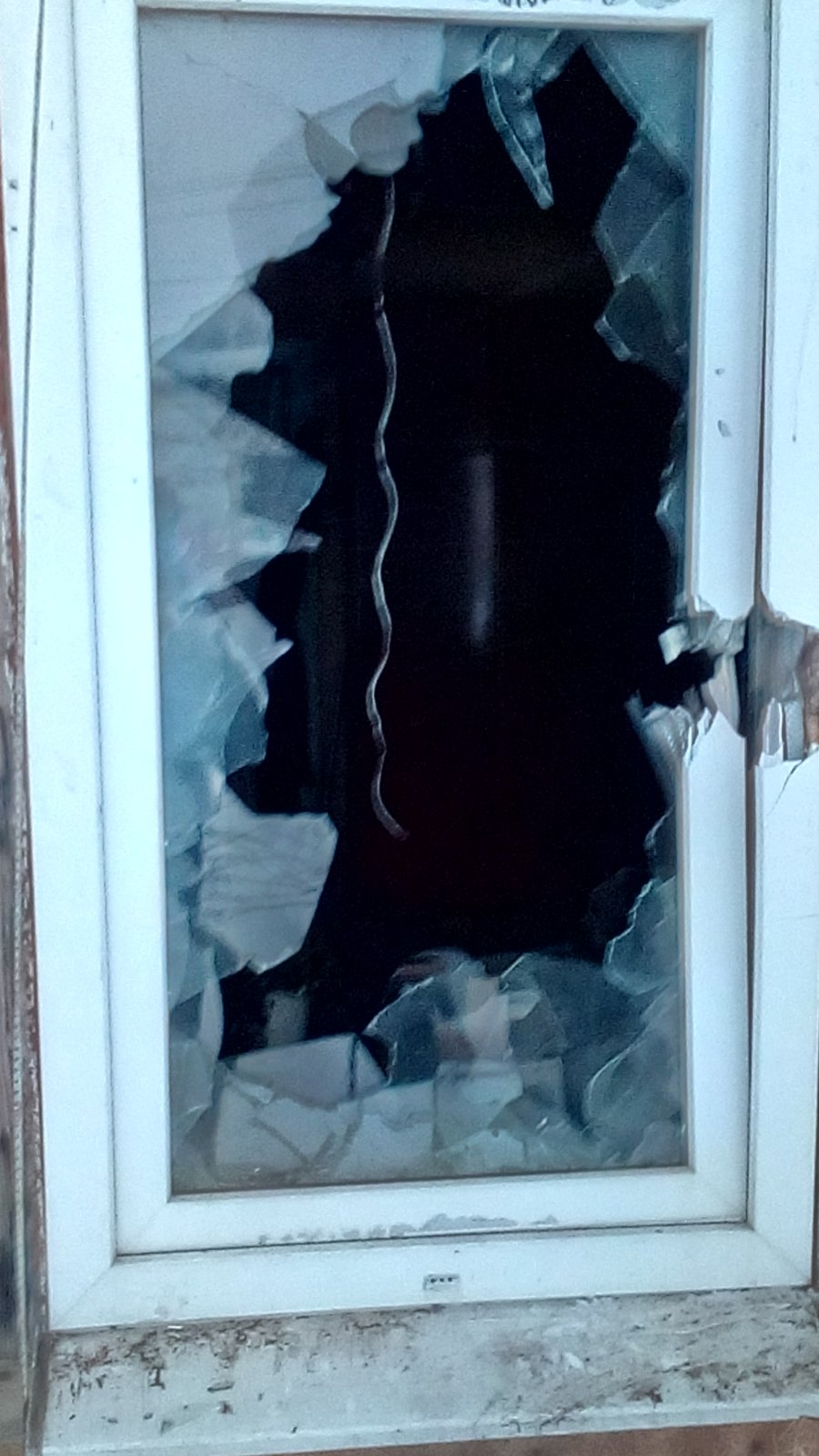 Майстер лісу з Середино-Буди просить допомоги