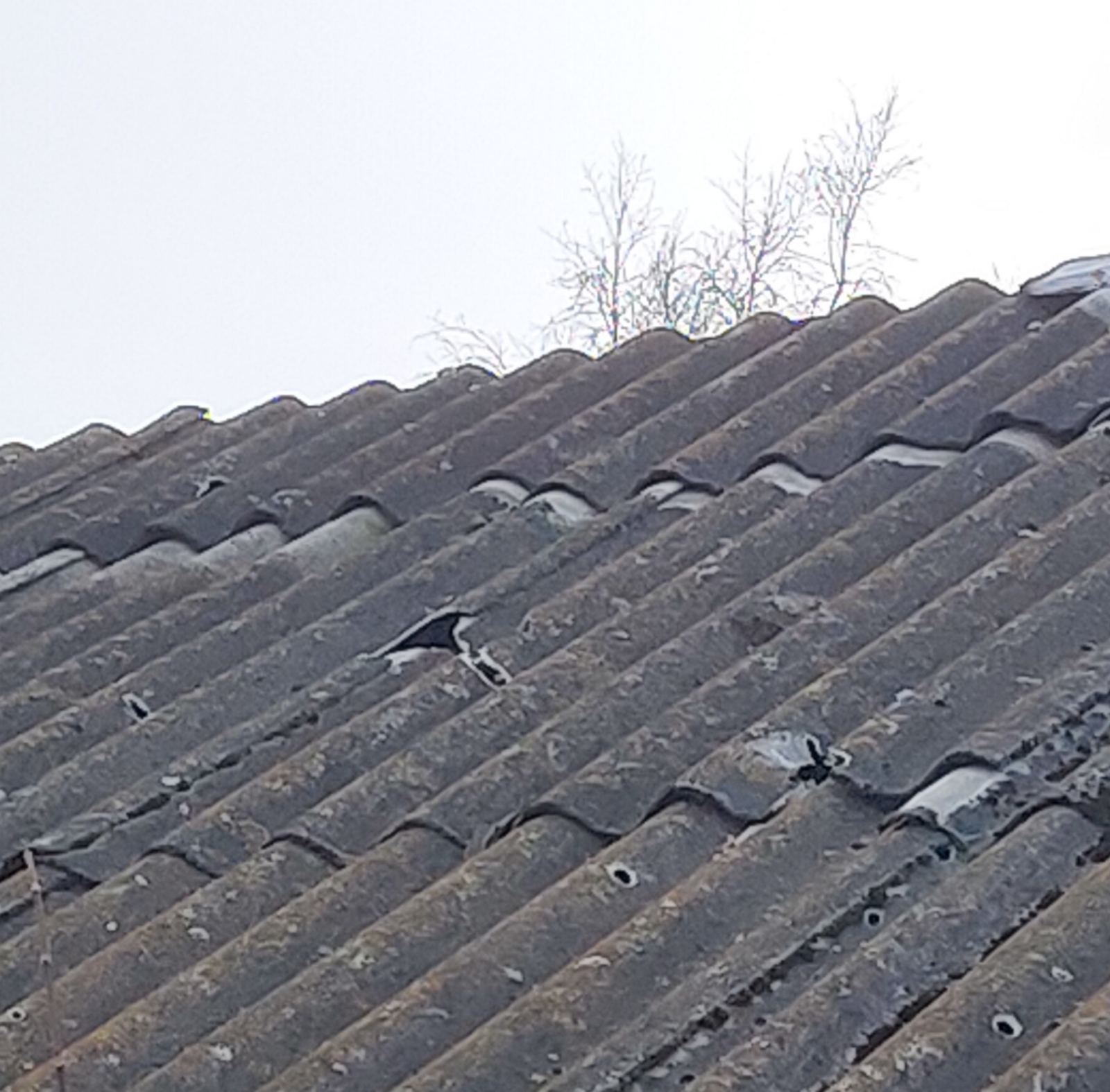 Родина з Сумщини лишилась без вікон