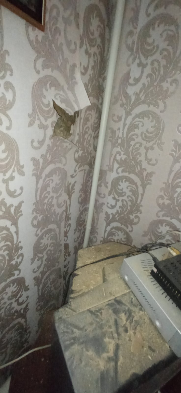 Пробита стіна, пошкоджені вікна, двері та дах - родина, яка змушена жити на кордоні з ворогом, просить допомоги