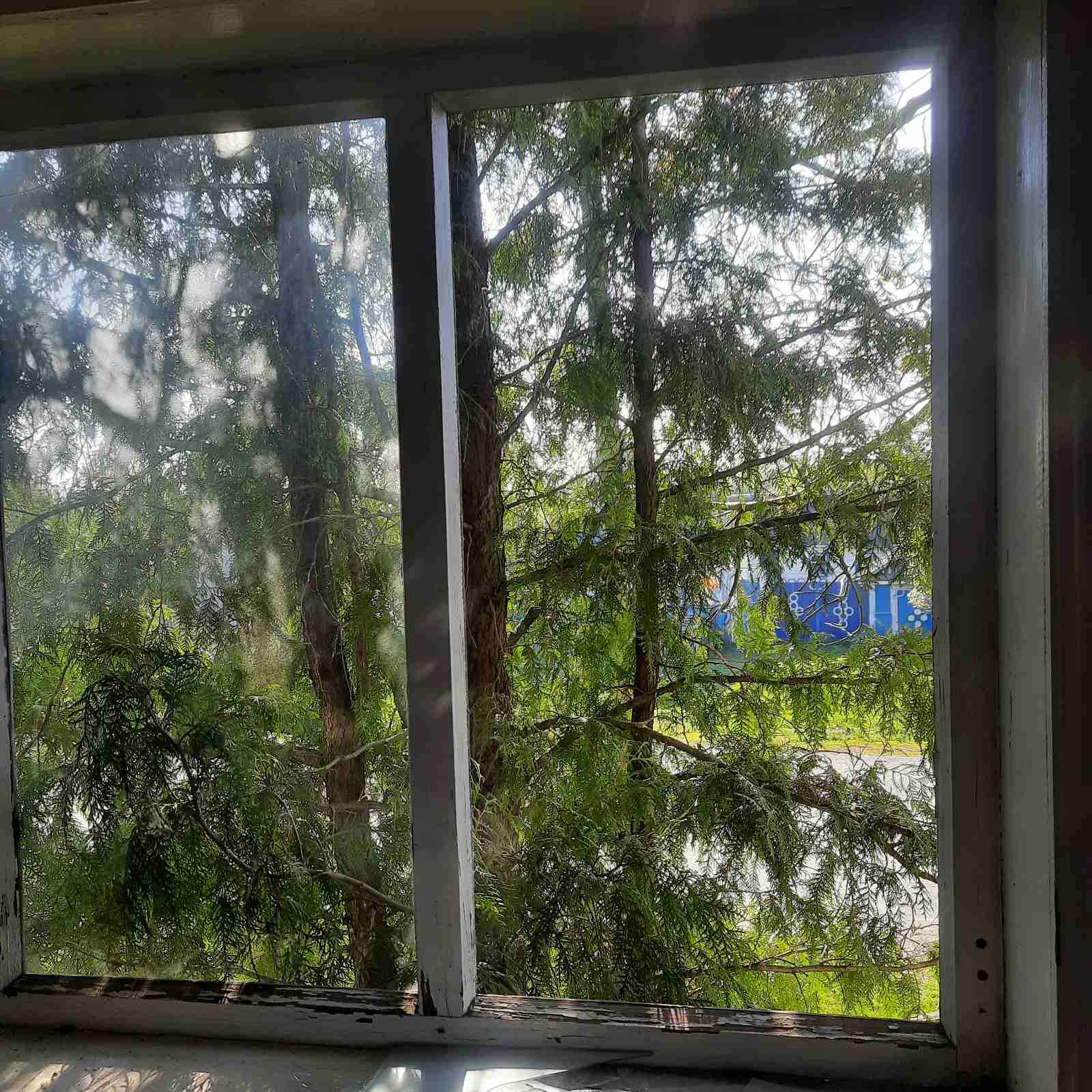 Житло родини зі Зноб-Новгородського серйозно постраждало під час обстрілу