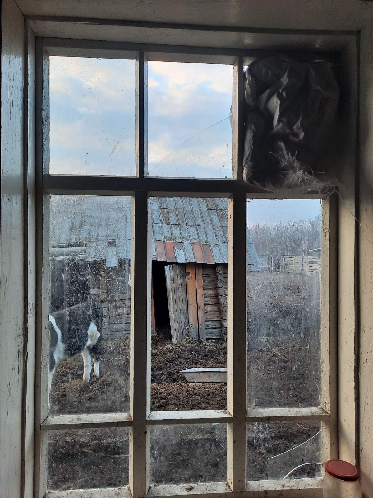 Вибито 8 вікон у будинку родини з маленькою дитиною