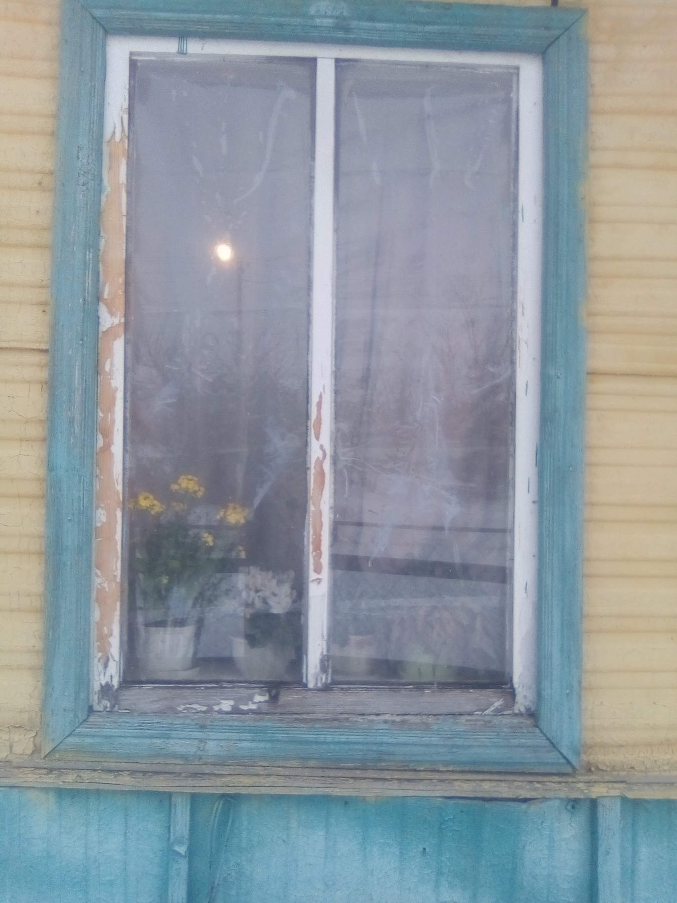 Жінка з двома дітьми мешкають в будинку з розбитими вікнами