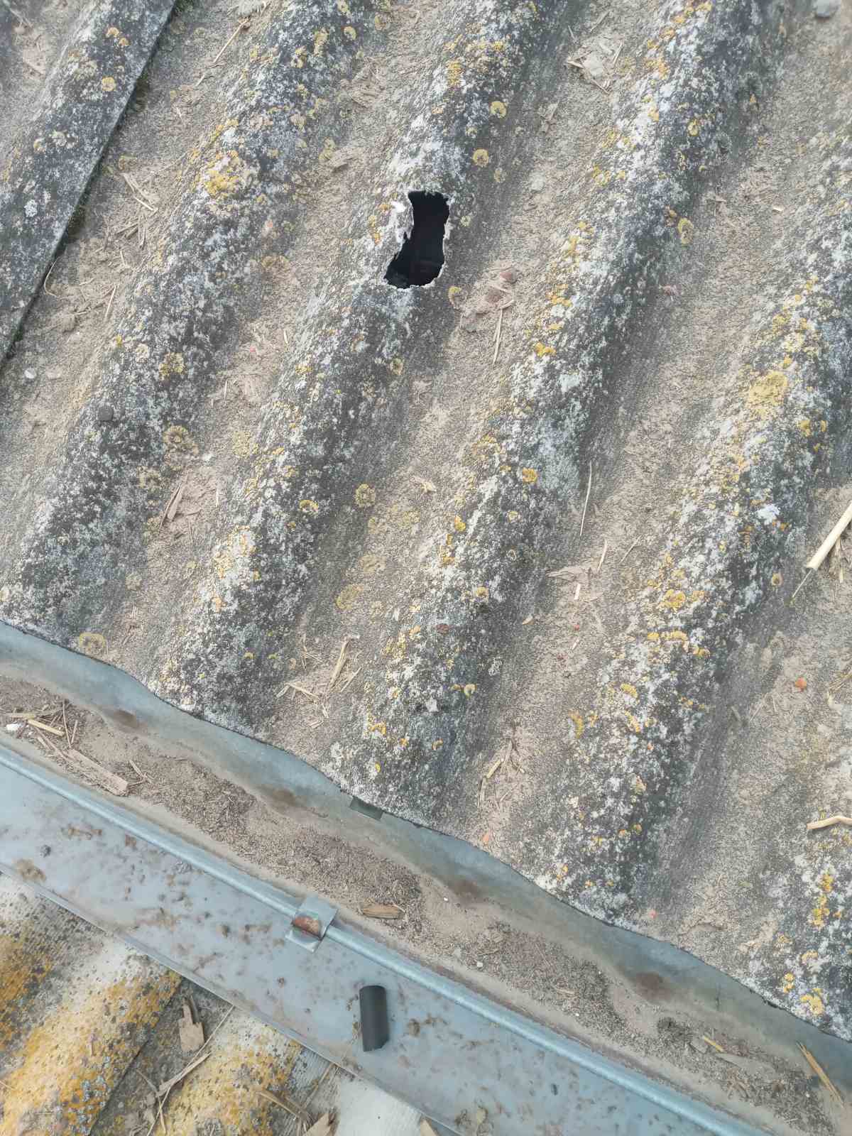 Снаряд упав біля будинку родини з Сумщини