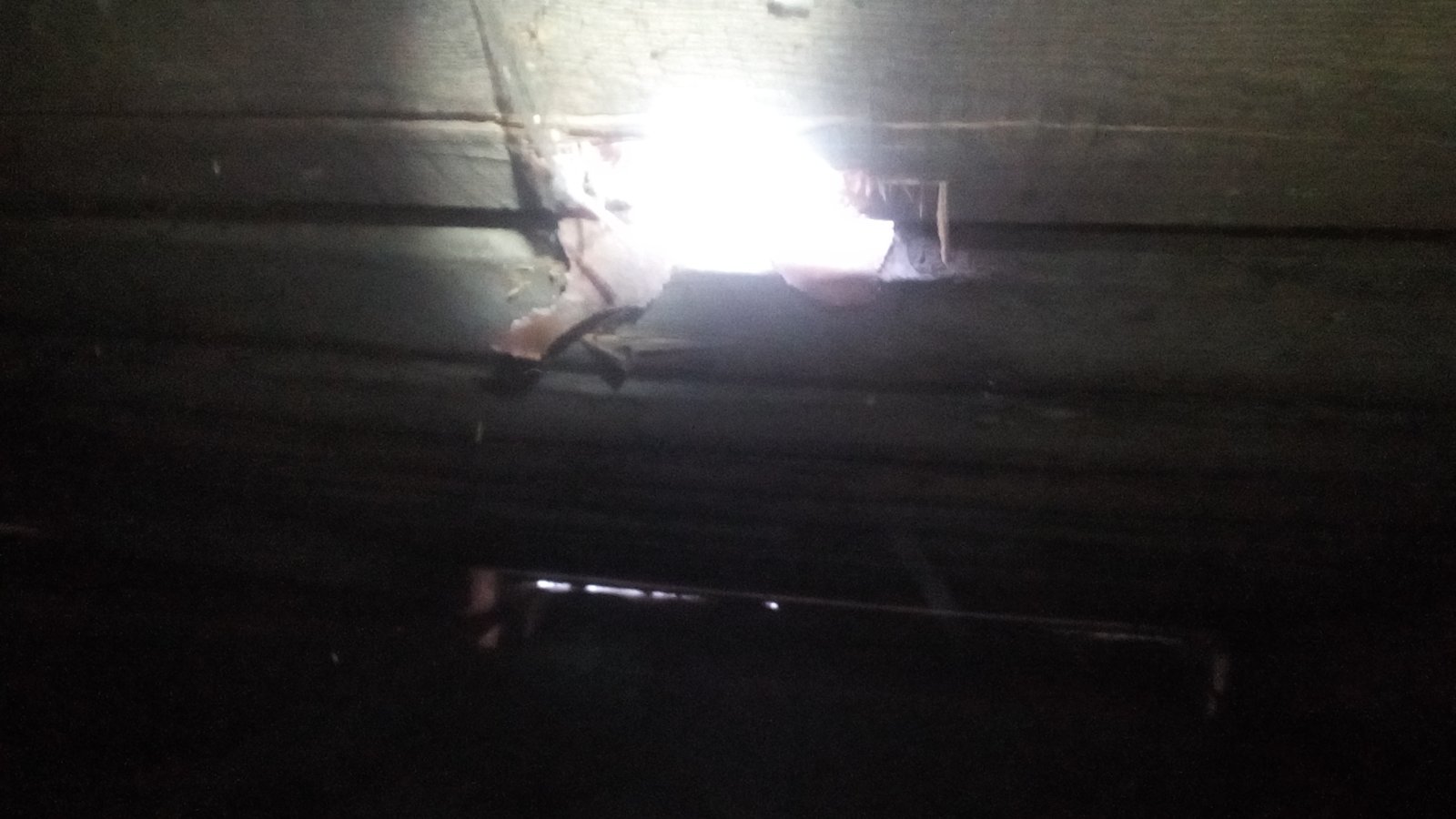 Майстер лісу з Середино-Буди просить допомоги