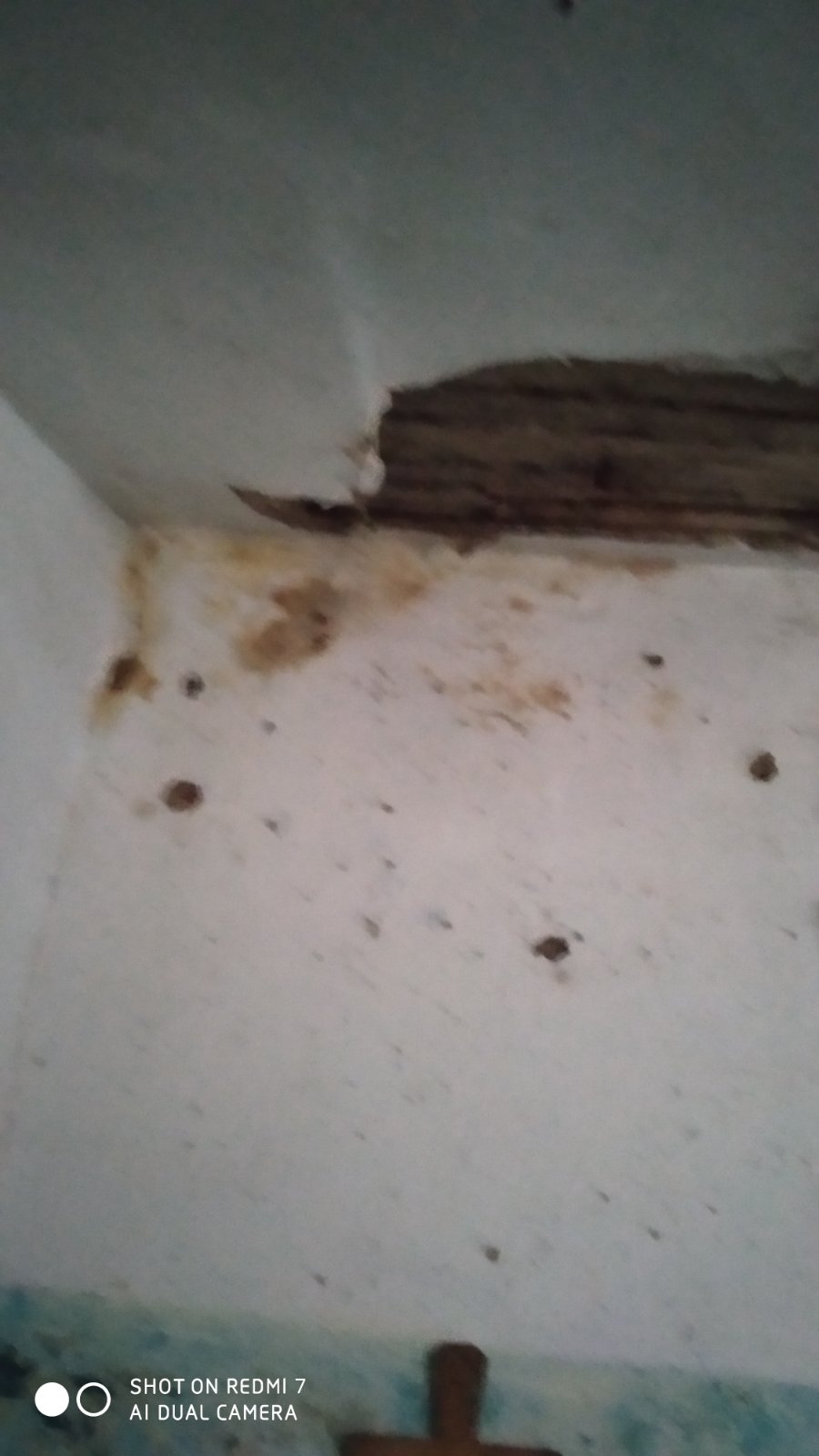 Допоможіть подружжю пенсіонерів жити разом: чоловіку з інвалідністю довелось покинути рідну домівку, а дружина залишилась, аби приглядати за зруйнованим сімейним гніздом 