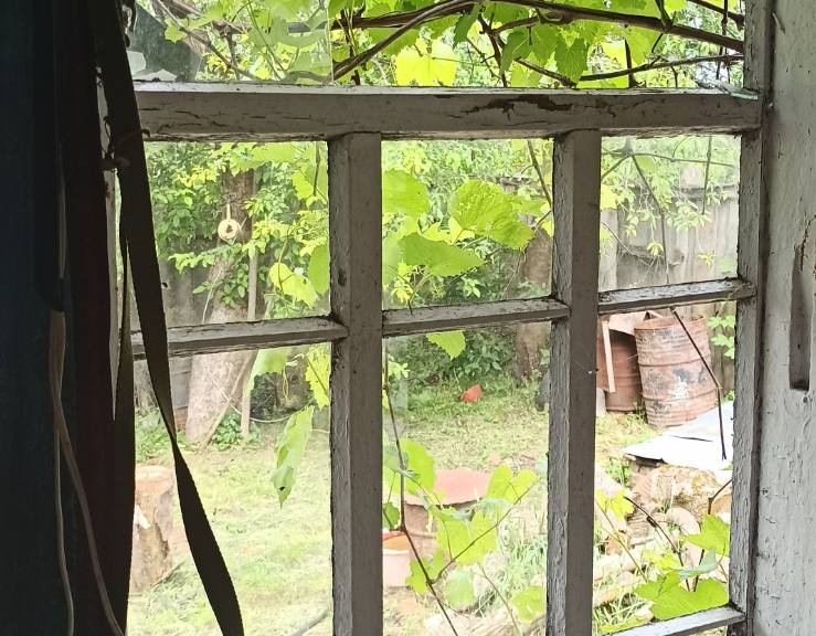 Жінка просить допомоги у відновленні батьківського дому