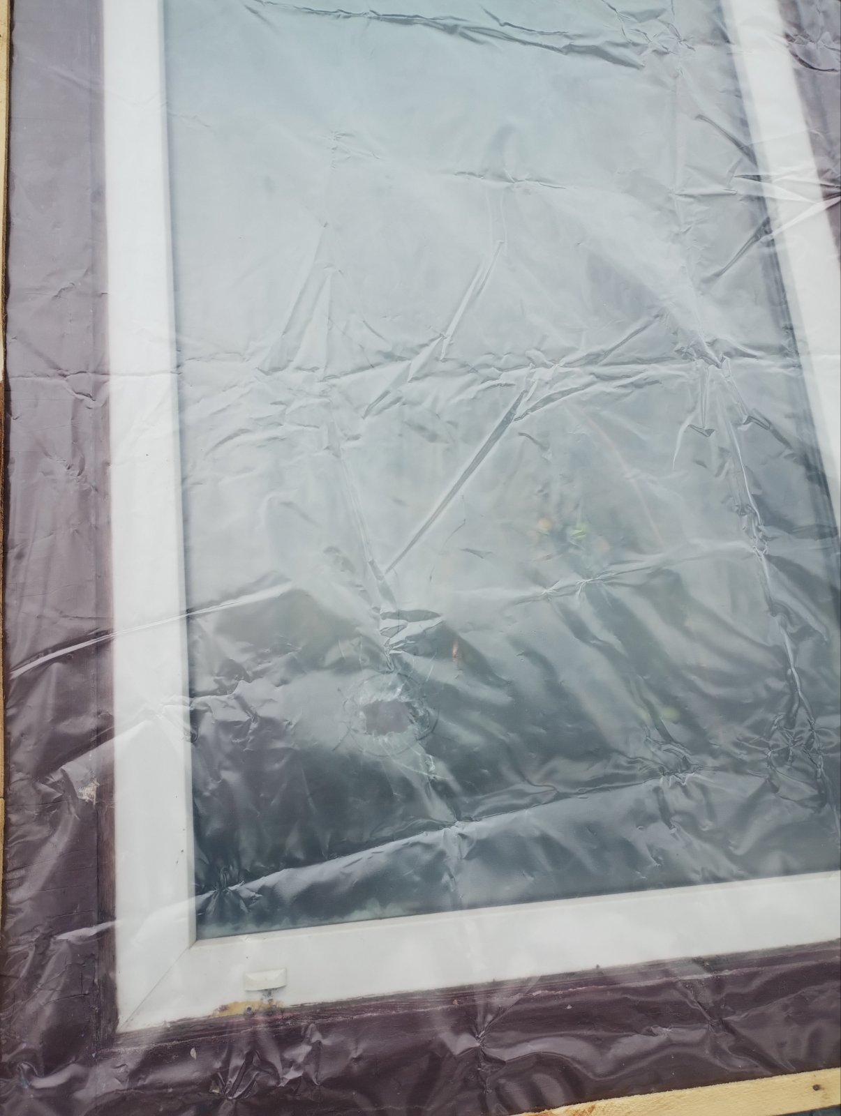 Подружжя пенсіонерів мешкає в будинку з розбитими вікнами