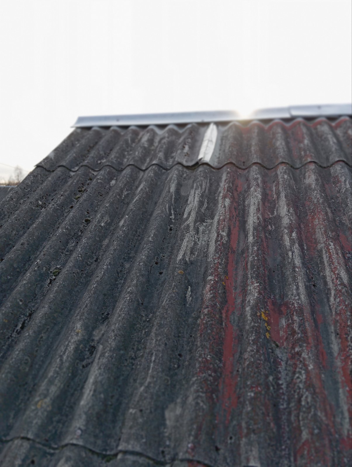 Снаряд впав на подвір'я жінки з Сумщини