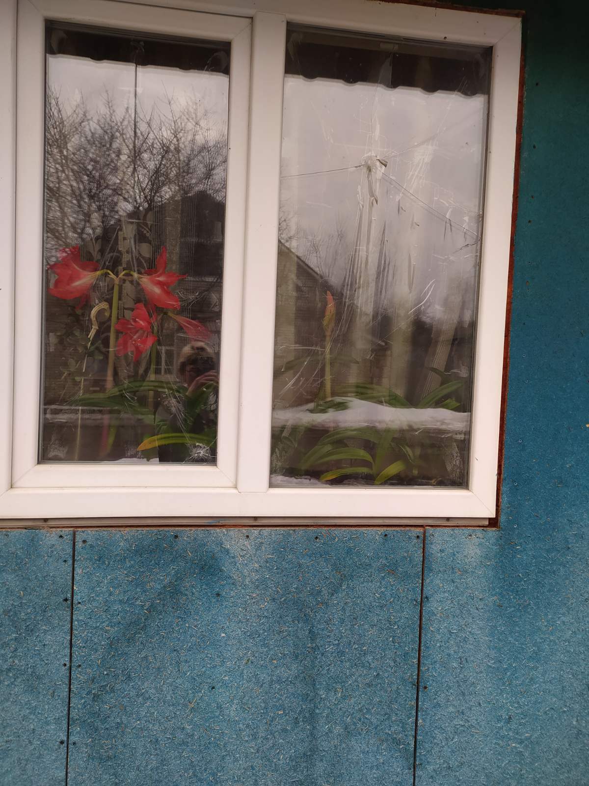 Подружжю із Середино-Буди потрібна допомога у відбудові будинку