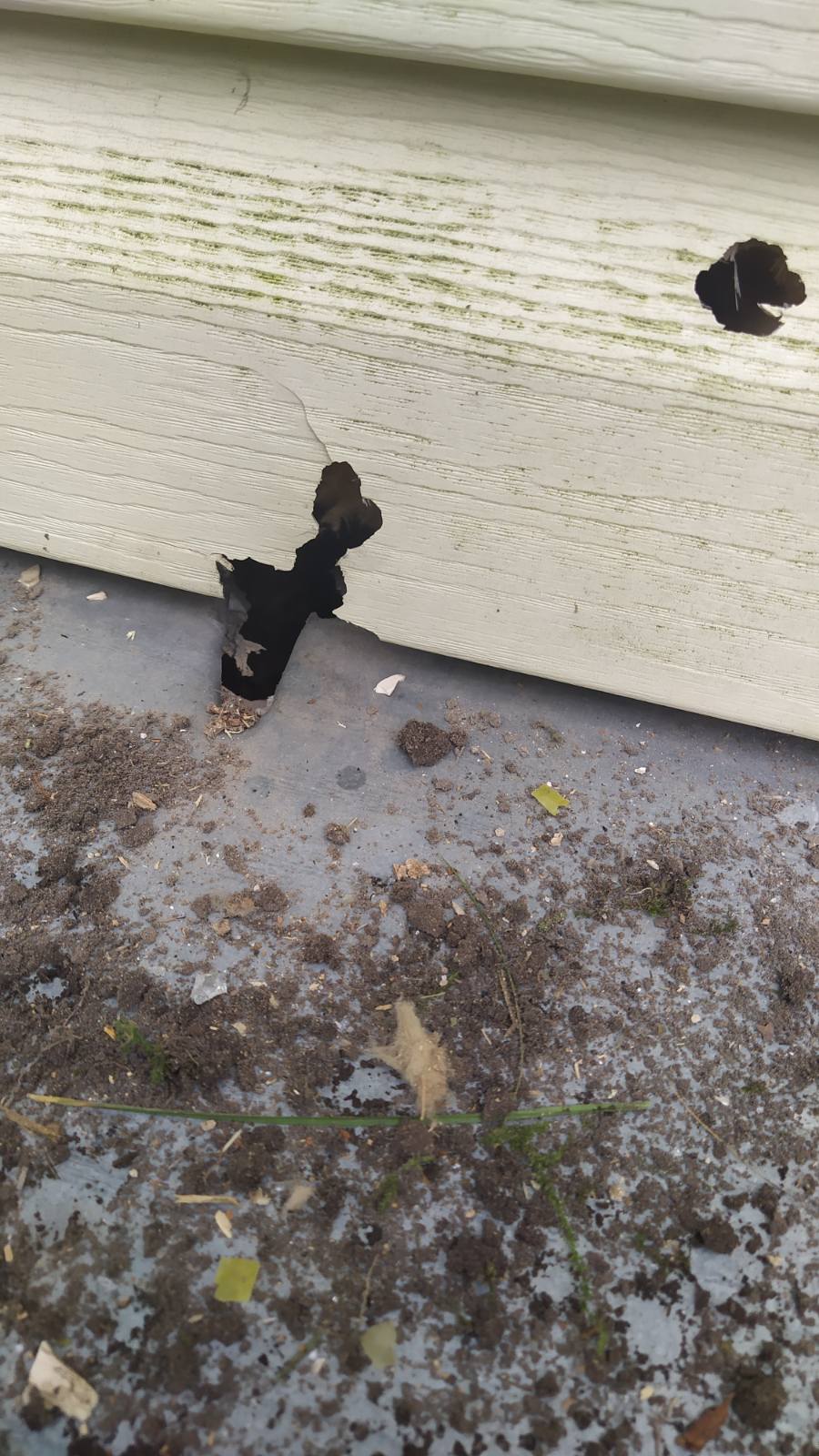 Жінка з Середино-Буди просить допомогти замінити вікна