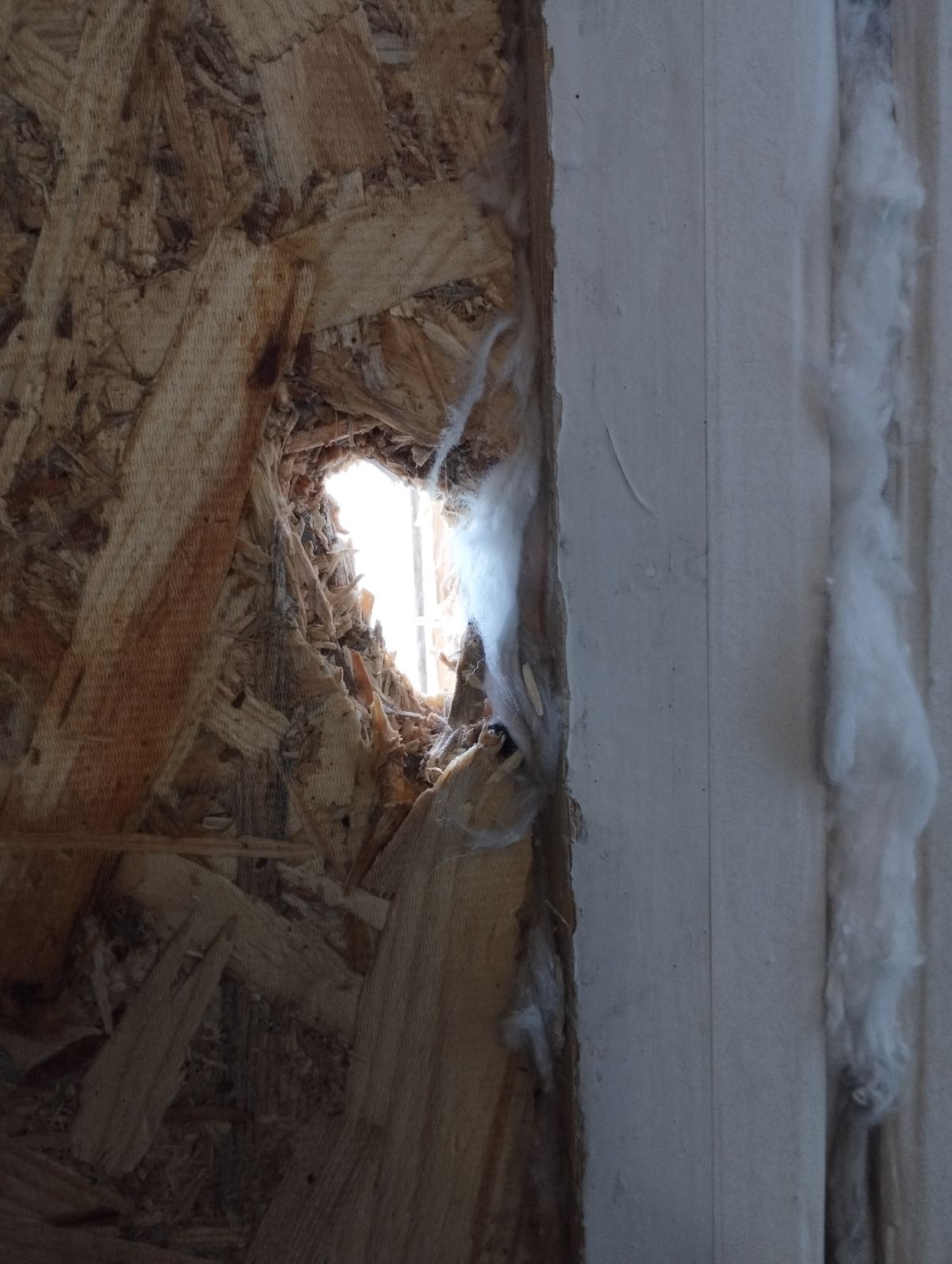 Жінка, яка перебуває під постійними ворожими обстрілами, просить допомоги