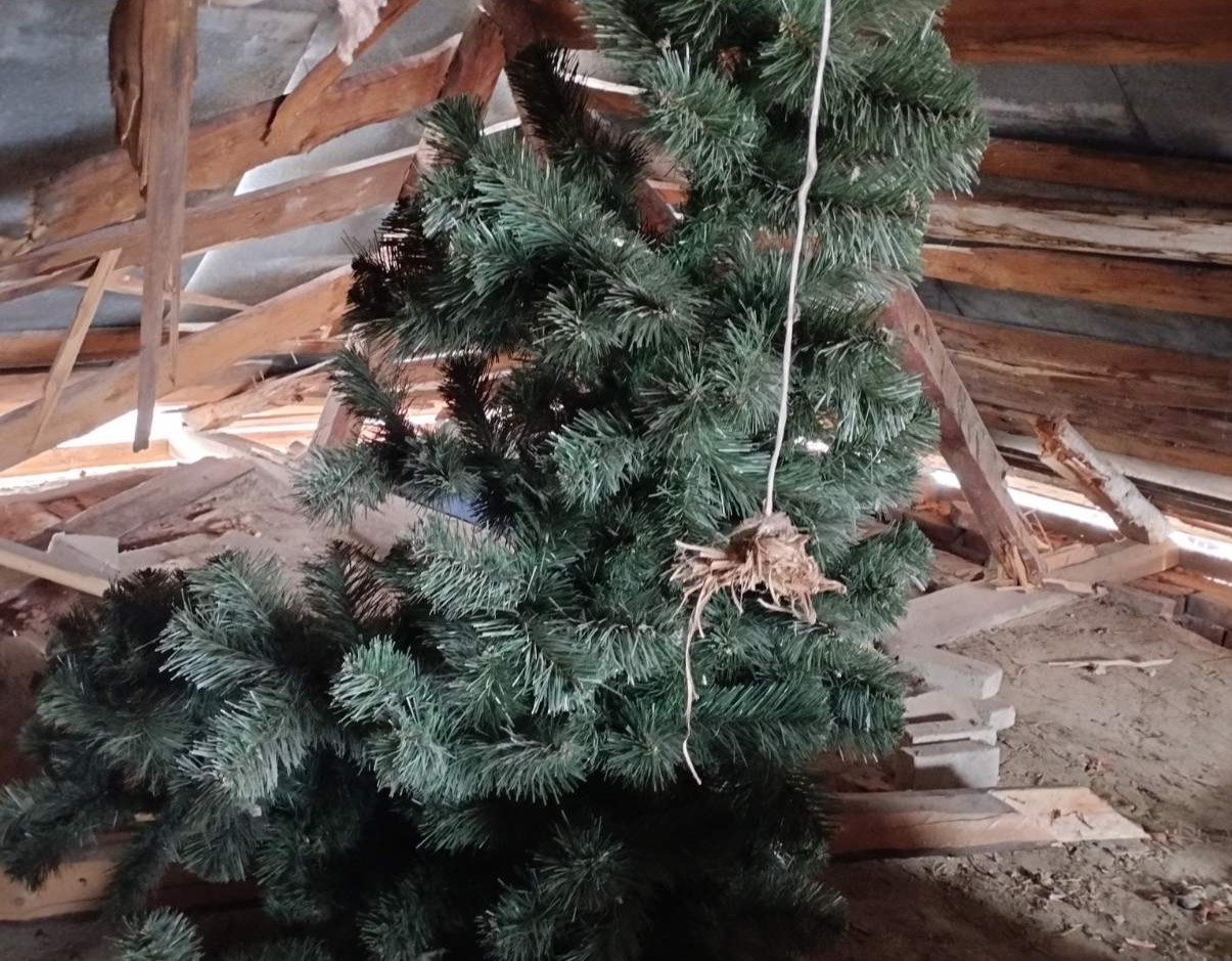 Авіабомба лишила будинка