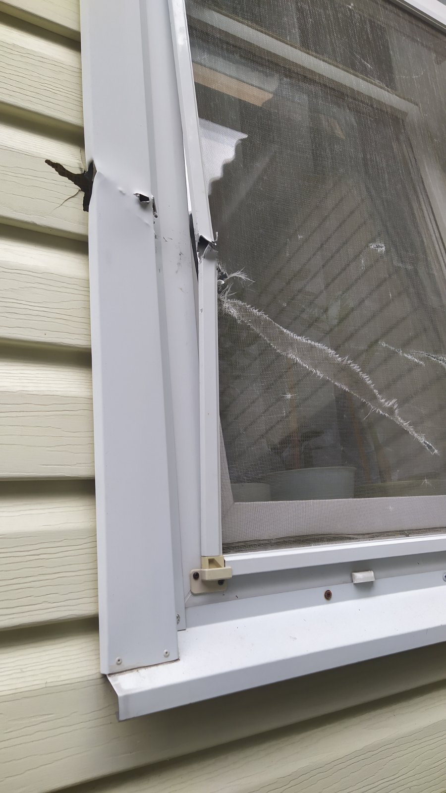 Жінка з Середино-Буди просить допомогти замінити вікна