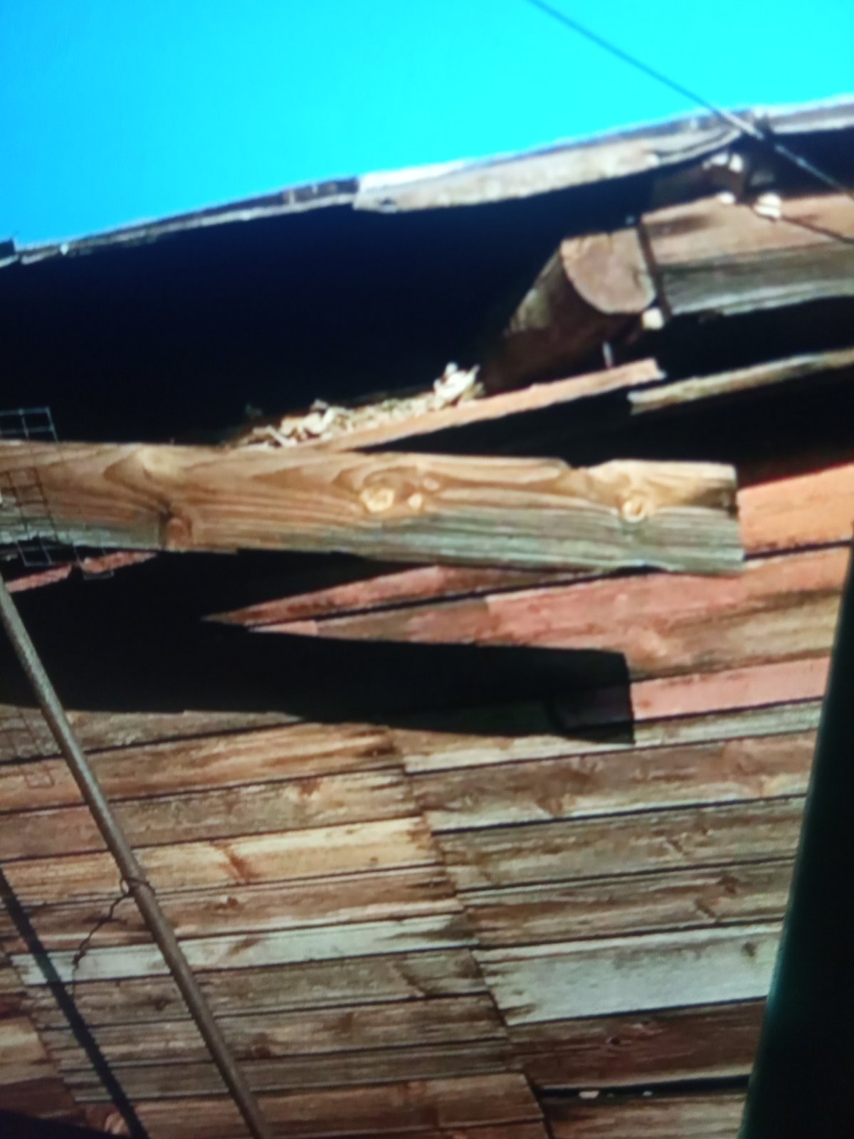 Родина з Середино-Буди потребує допомоги з ремонтом житла 