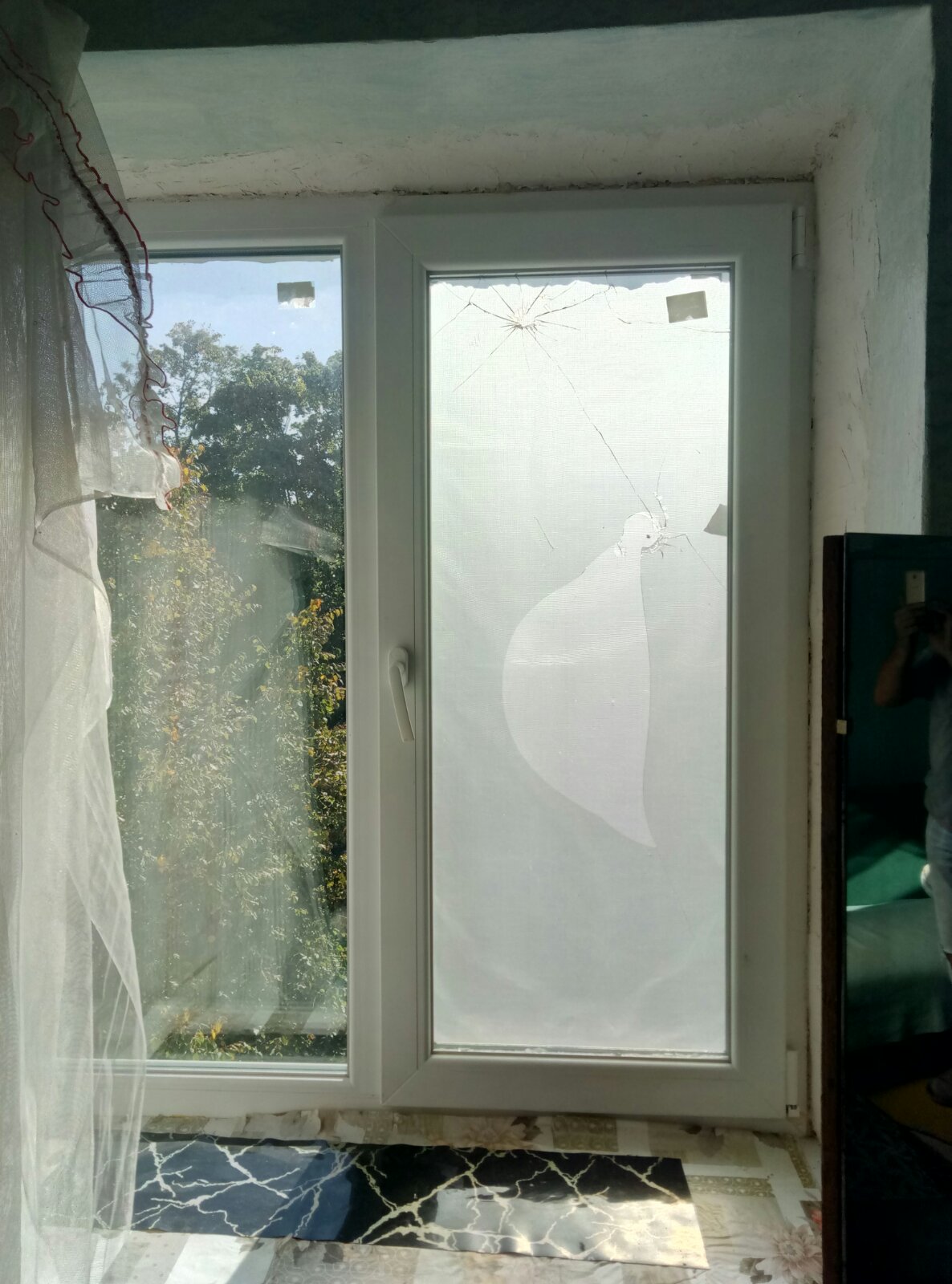 80-літня пенсіонерка живе у квартирі з вибитими вікнами