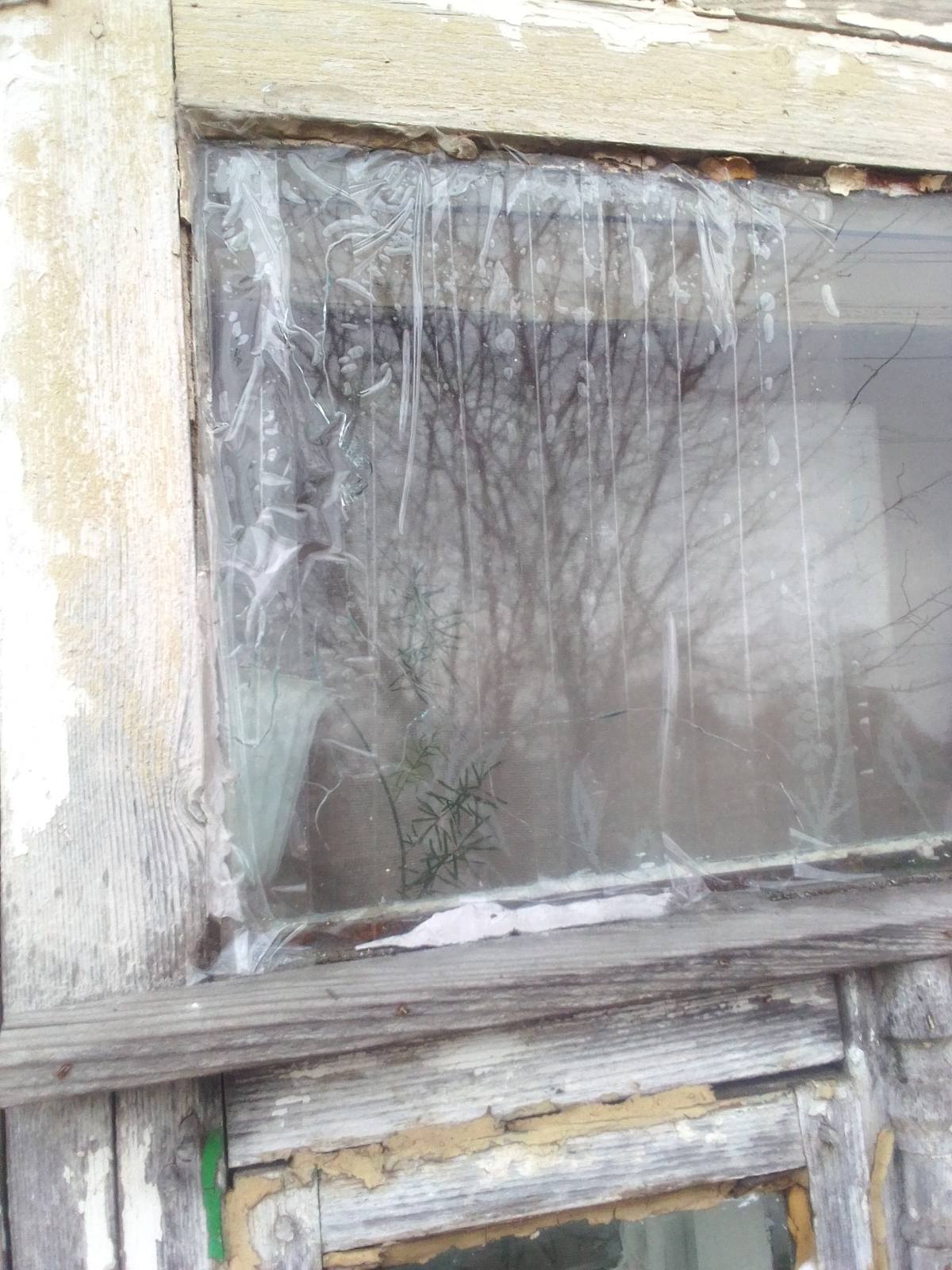 Ліквідатор наслідків аварії на ЧАЕС, який втратив зір просить допомоги