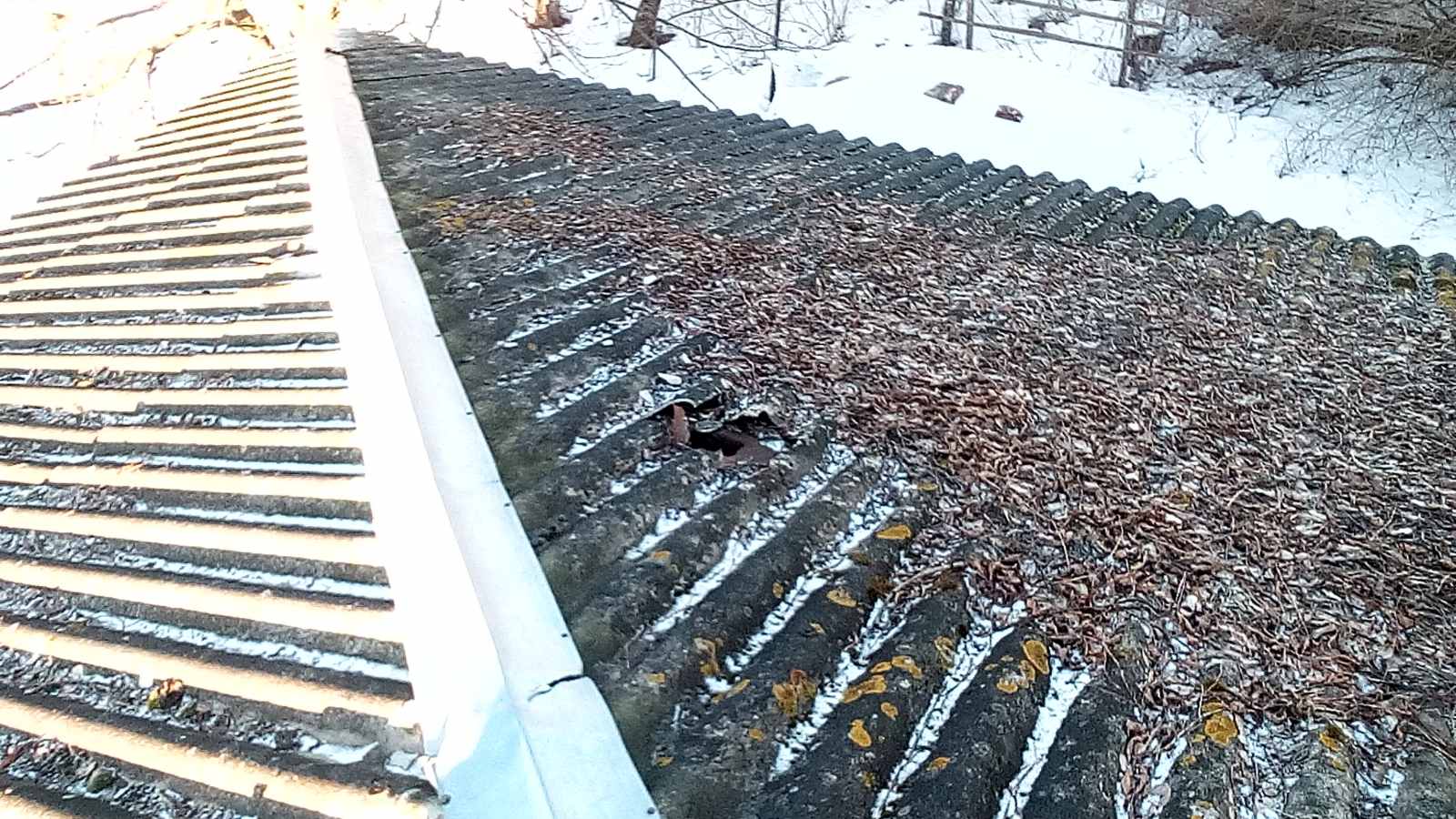 Майстер лісу з Середино-Буди просить допомоги