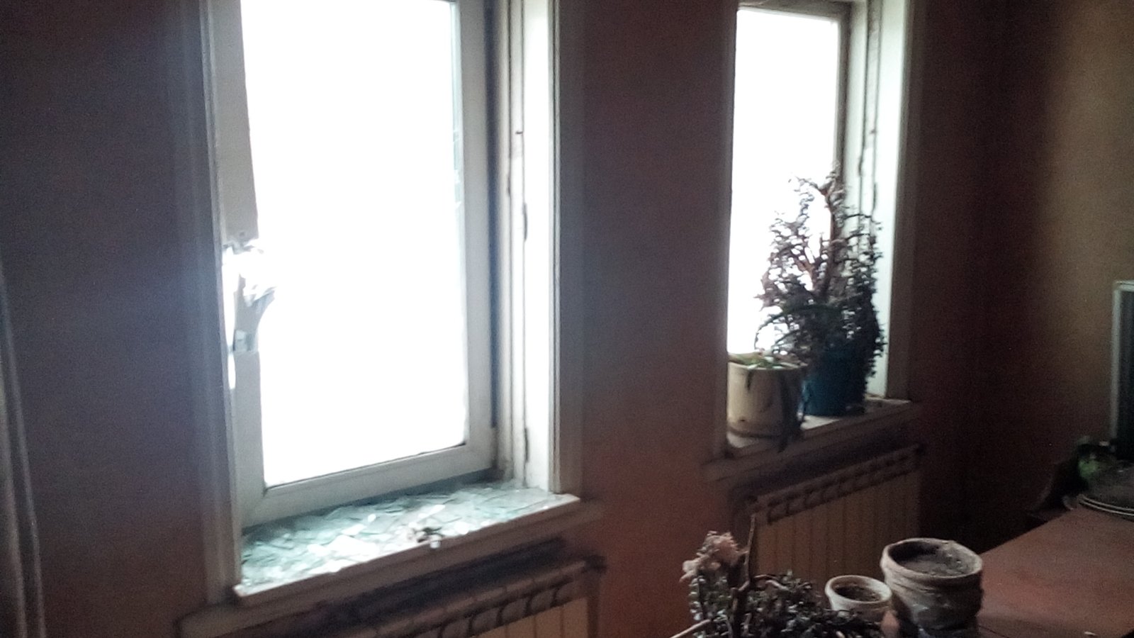 Майстер лісу з Середино-Буди просить допомоги