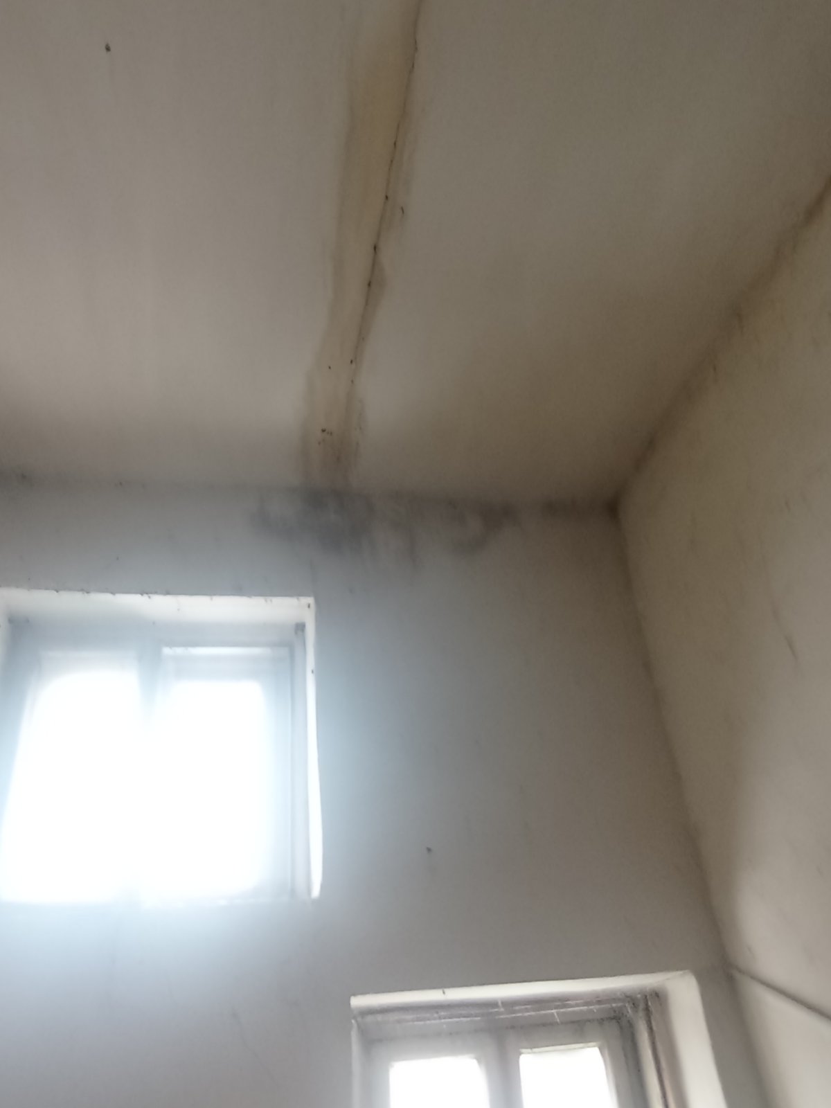 Чоловік доглядає за старенькою тещою в пошкодженому обстрілами будинку