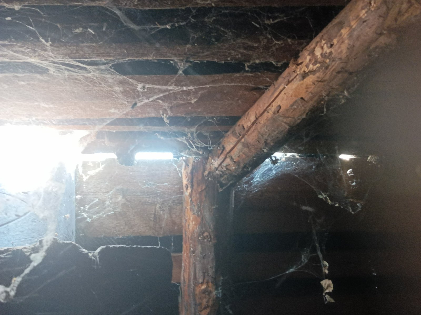 Жінка з двома дітьми та племінником мешкають в будинку з пошкодженим  дахом