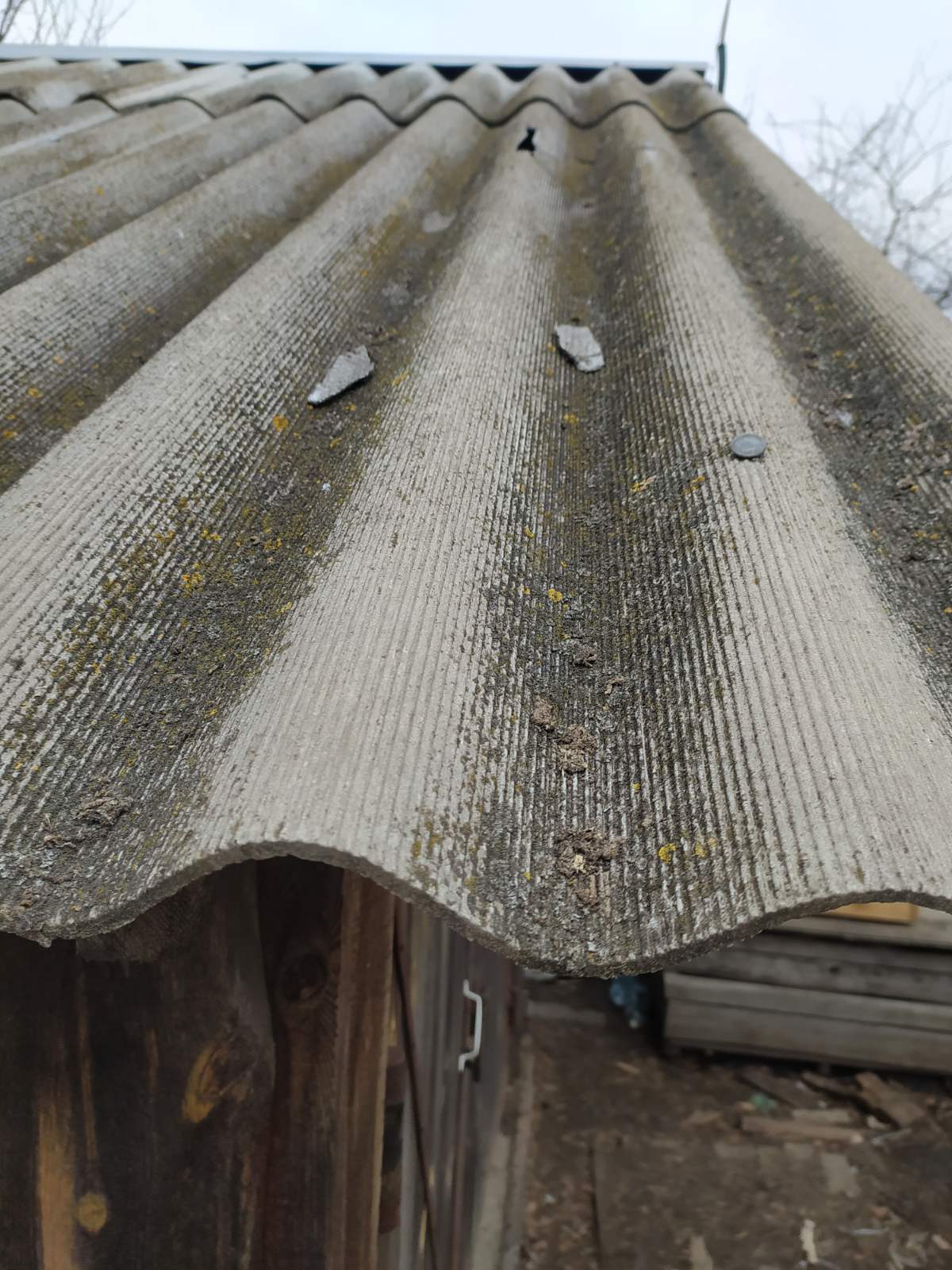 Подружжю із Середино-Буди потрібна допомога у відбудові будинку