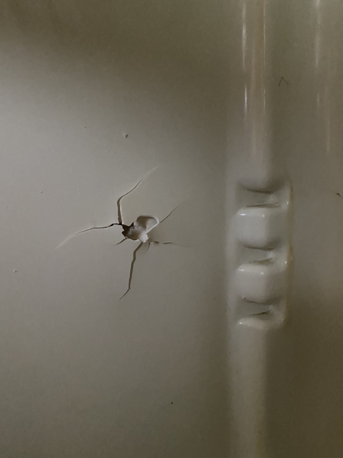 Пенсіонерка з Сумщини просить про допомогу