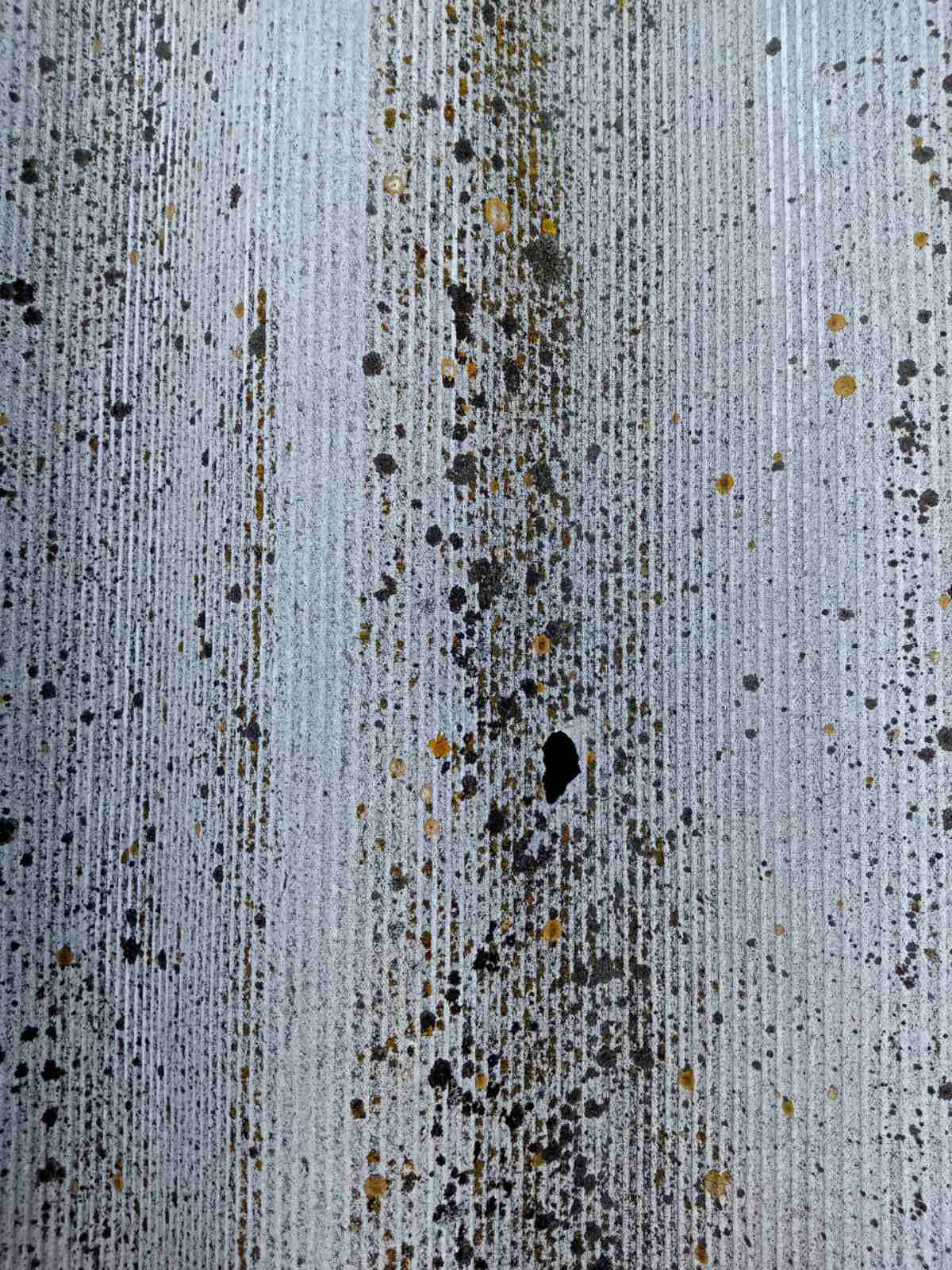 Постраждав будинок родини ВПО з Сумщини