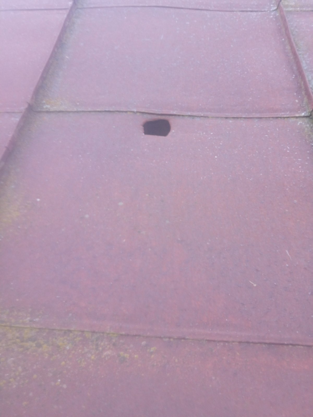 Родина з чотирма дітьми проживає в пошкодженому будинку