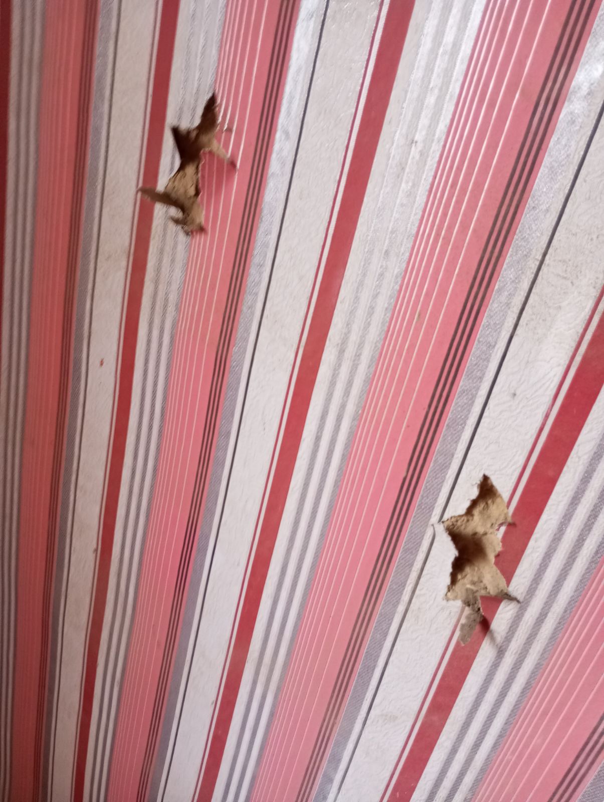 Жінці з Хотінської громади, яка доглядає за недієздатним батьком, потрібна допомога