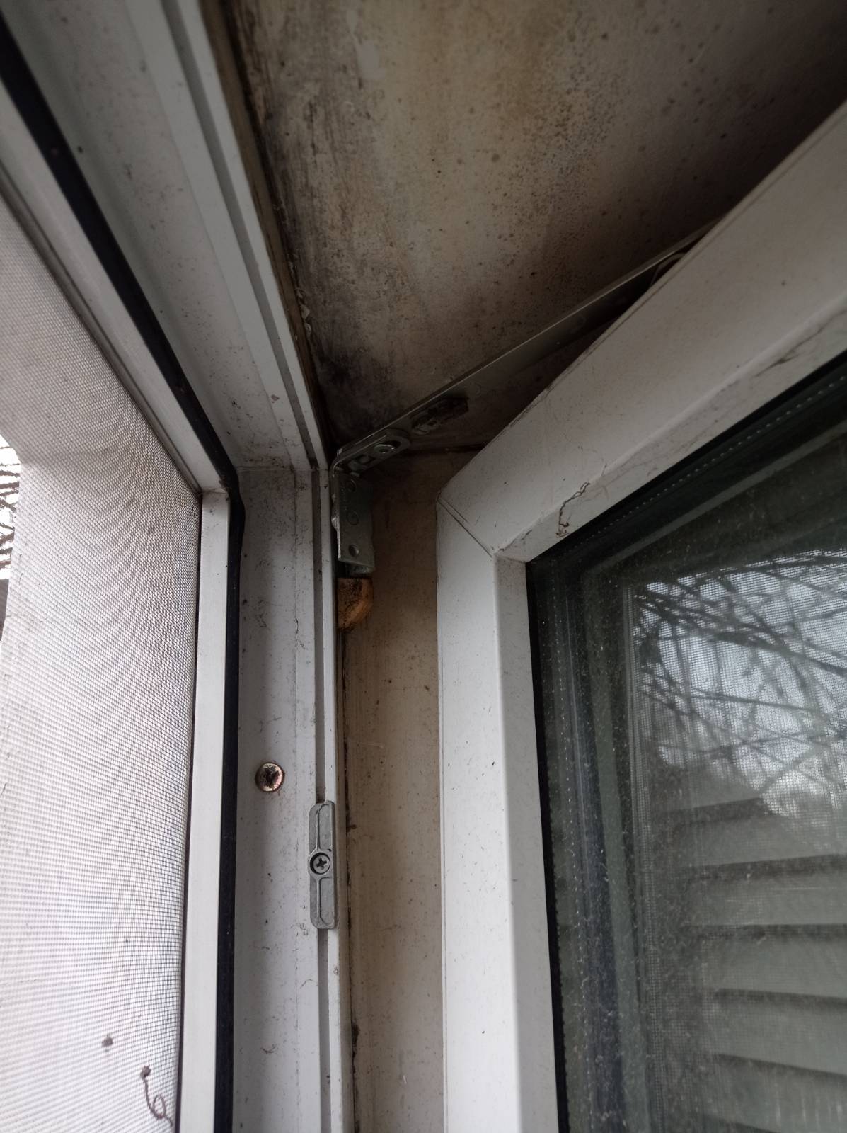 Родина з маленькою дитиною живе у пошкодженому будинку