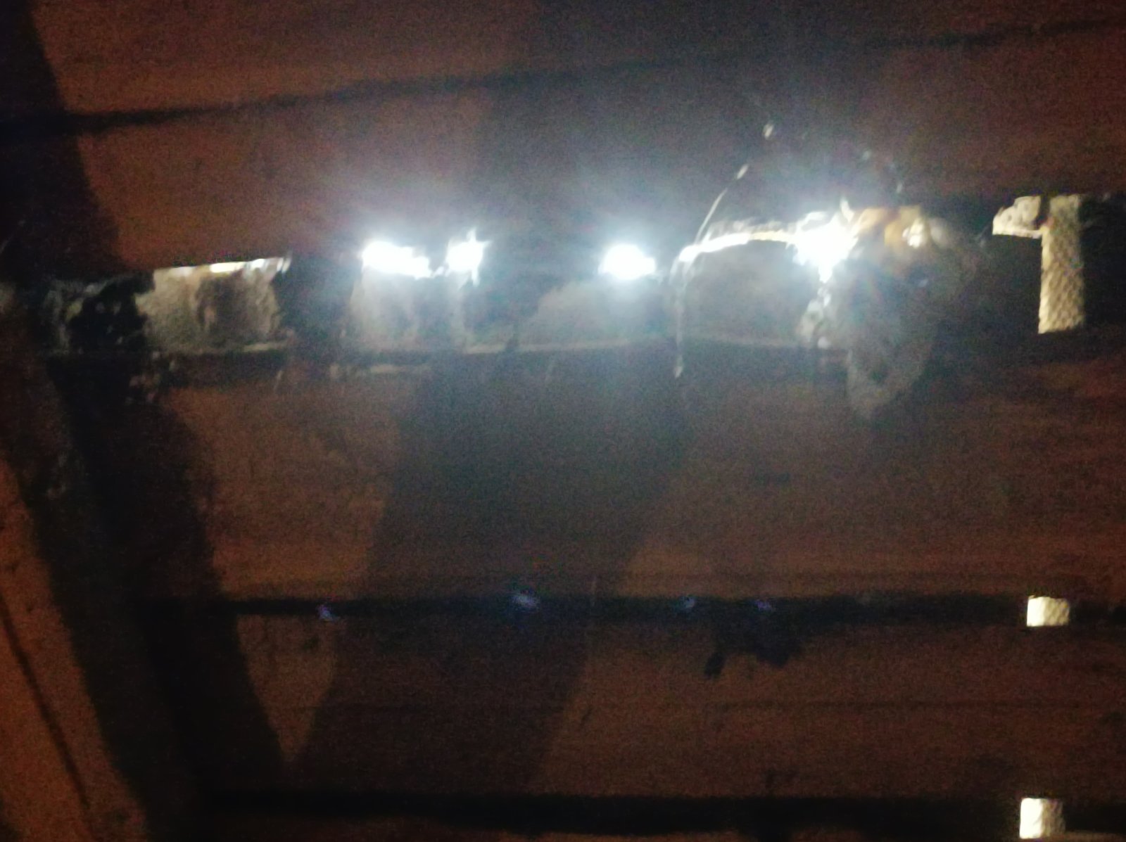 Жінка з двома дітьми та племінником мешкають в будинку з пошкодженим  дахом