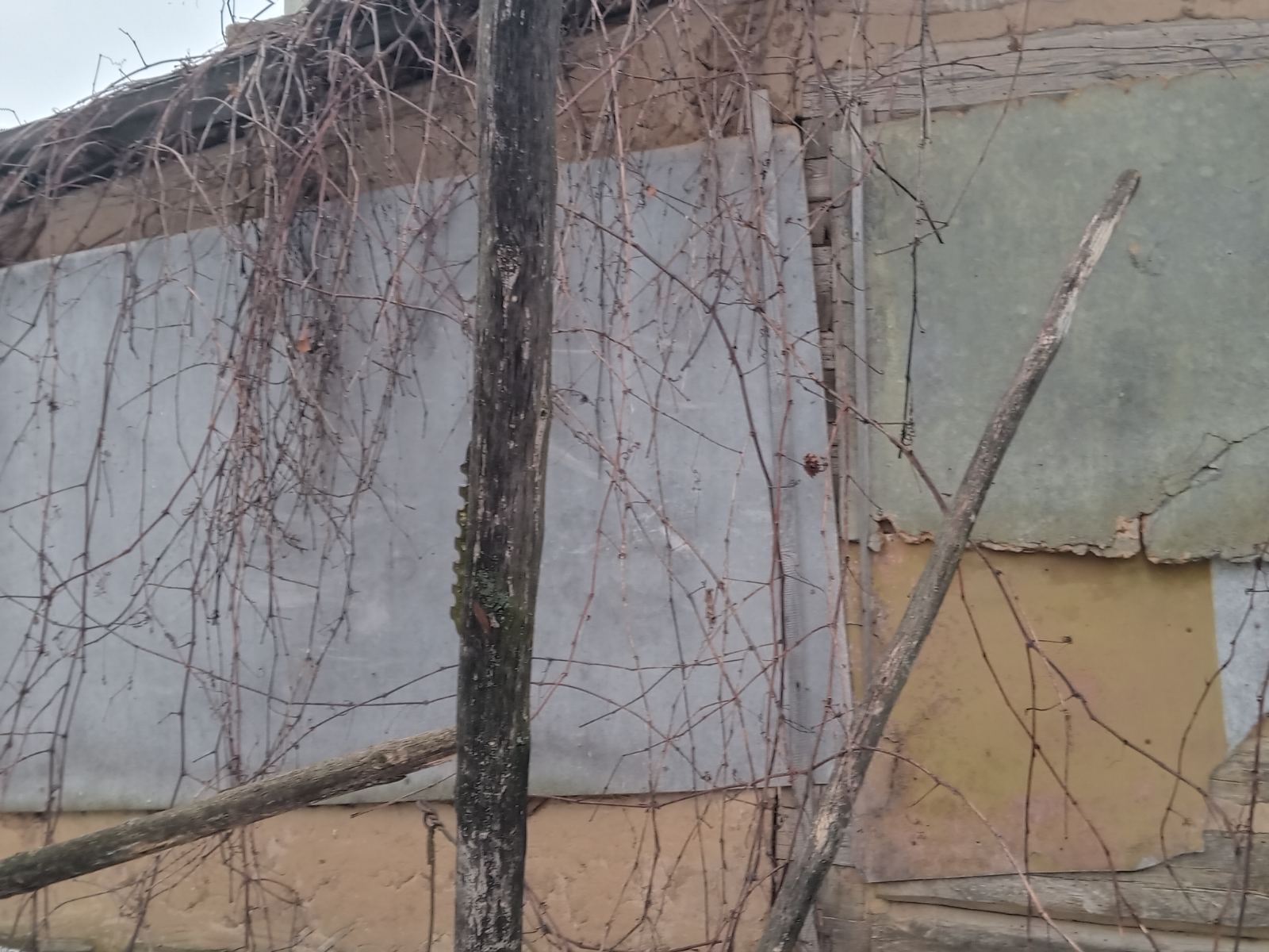 Пенсіонерка зі Зноб-Новгородського живе в будинку з заклеєними плівкою вікнами