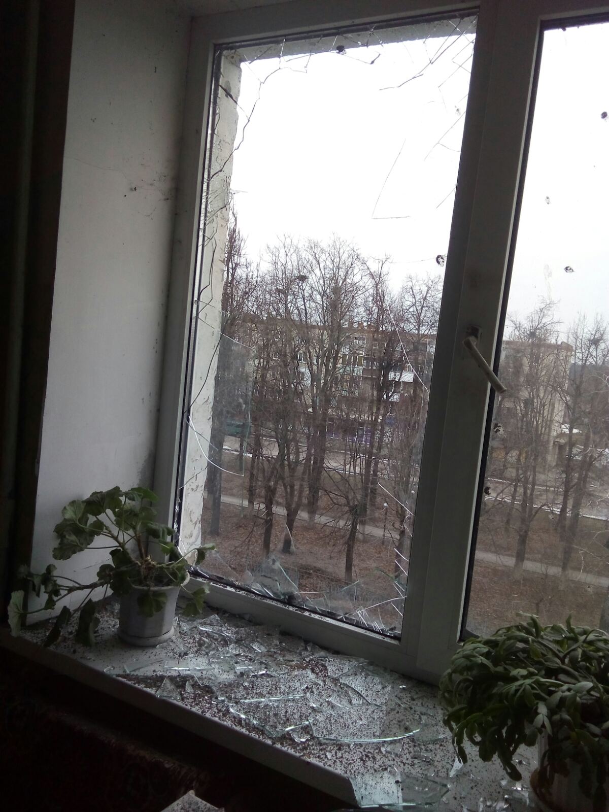 Квартира 87-річної пенсіонерки залишилась без вікон