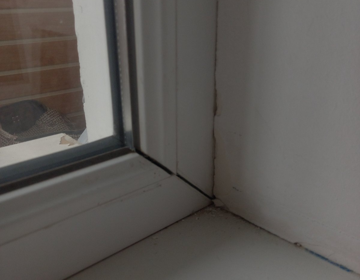 Майже всі вікна в квартирі жителя Білопілля потребують відновлення