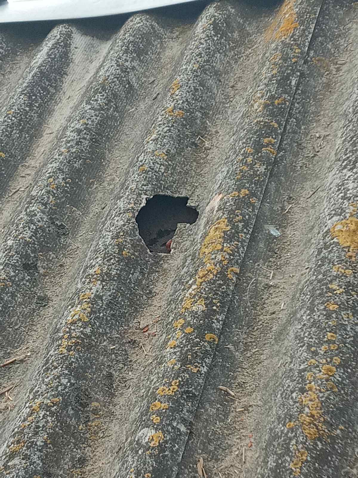 Снаряд упав біля будинку родини з Сумщини