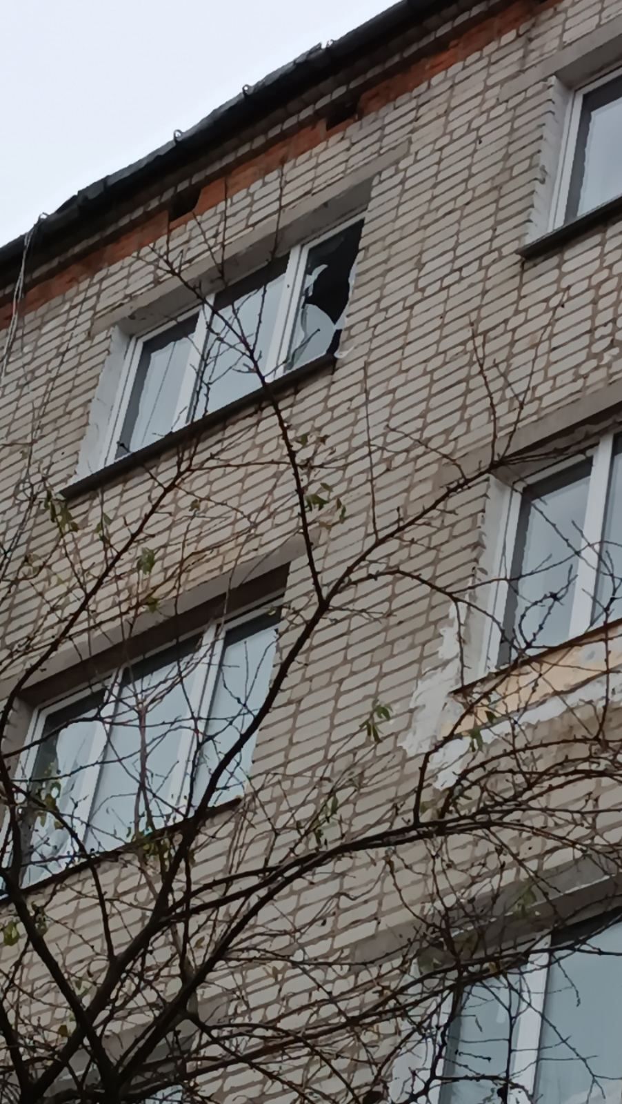 Пенсіонерка з Середино-Буди потребує допомоги