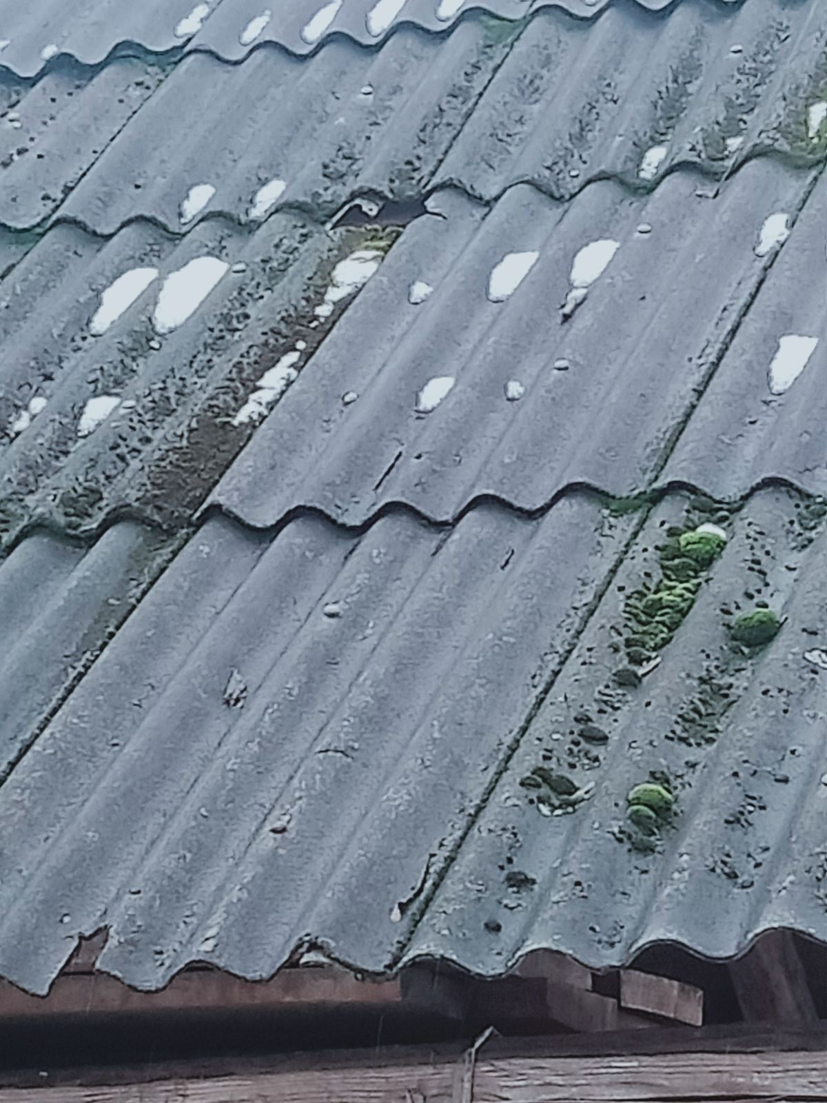 Родині зі Зноб-Новгородського потрібна допомога в ремонті житла