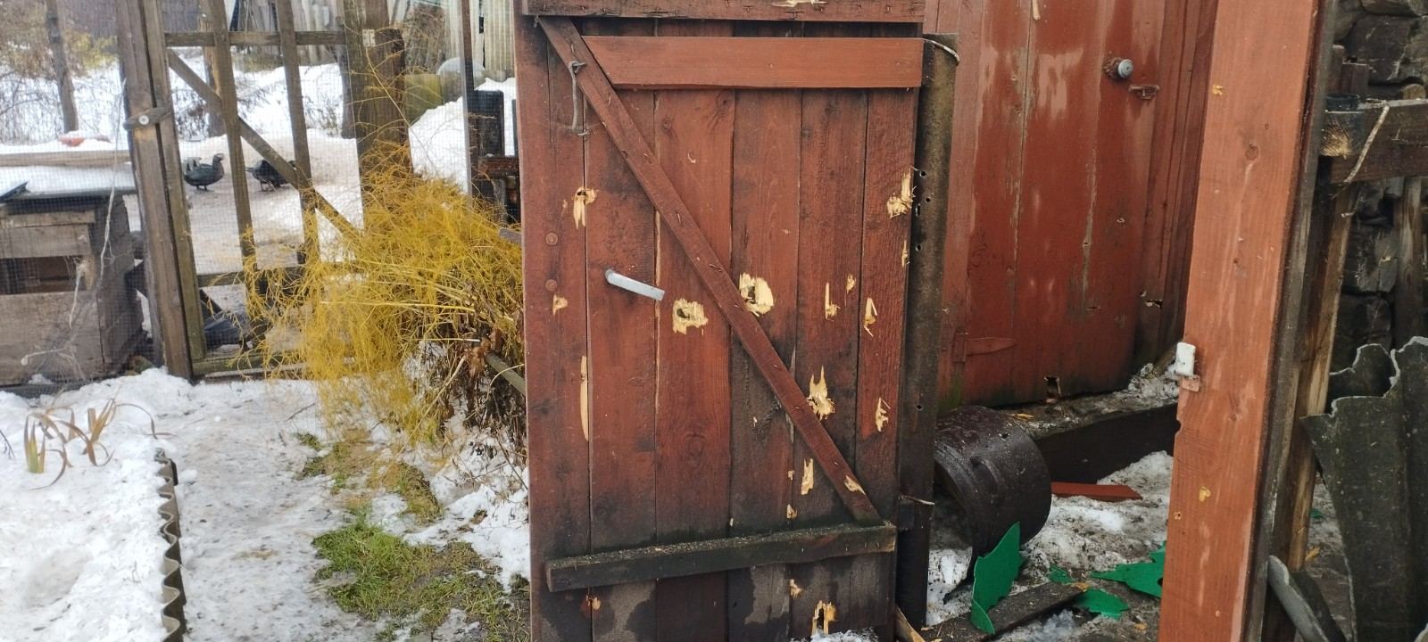 Під обстріл потрапив будинок вчительки з Сумщини