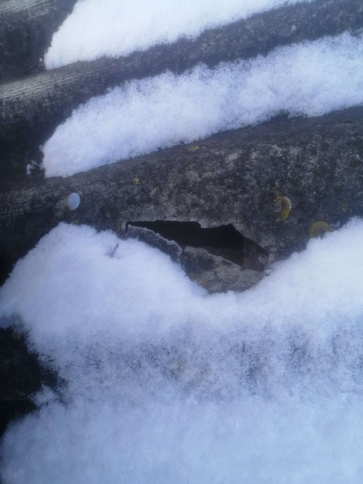 Пенсіонерці з Миропілля потрібна допомога у відновленні будинку