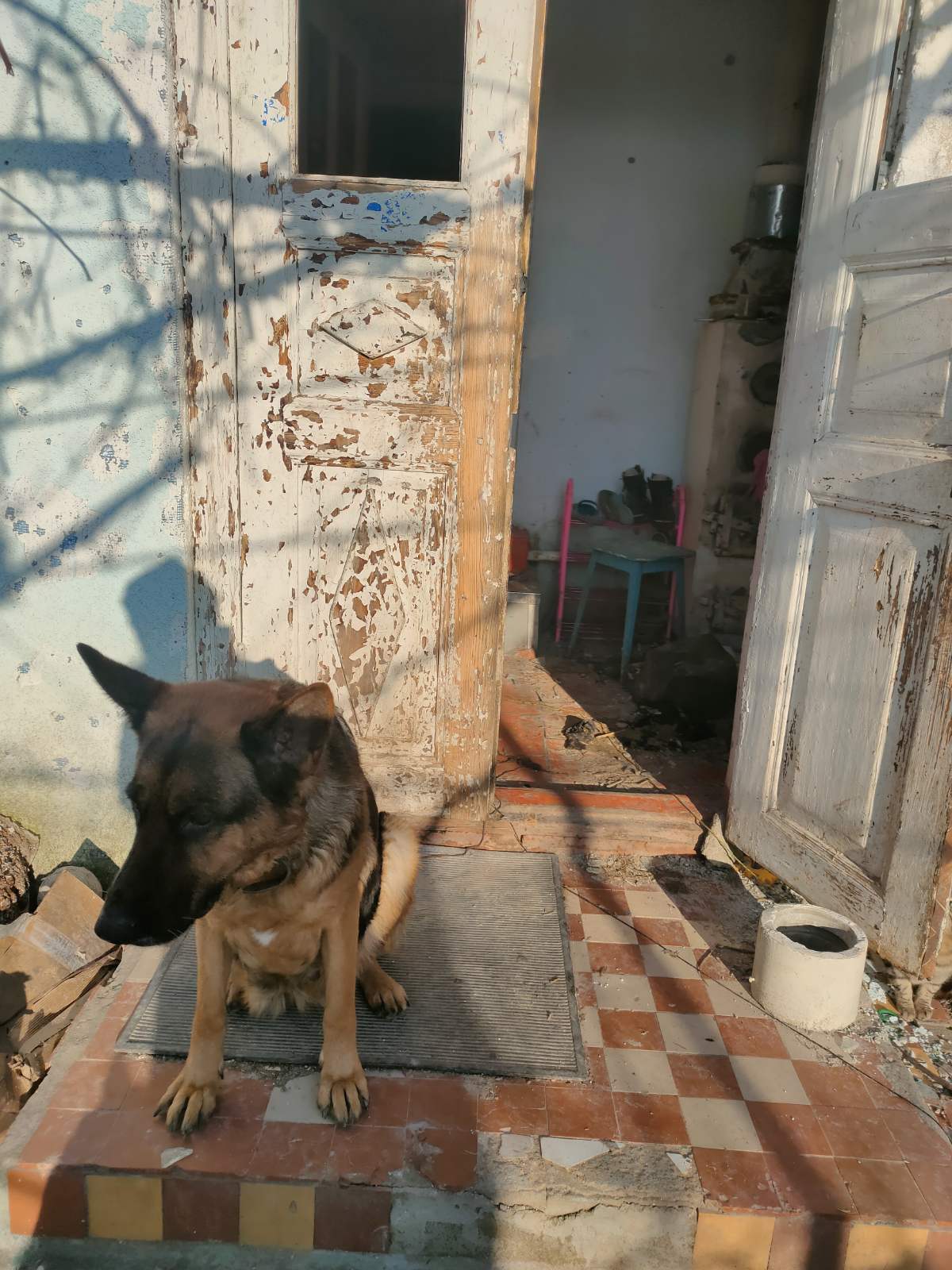 Через війну багатодітна родина з Херсону залишилась без батька та дому