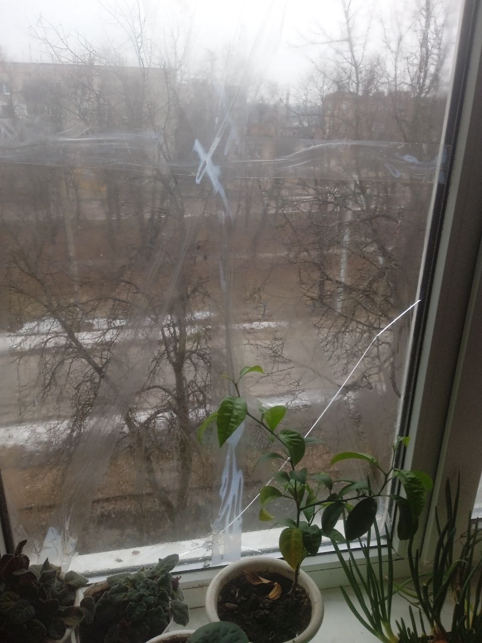 Восени подружжя пенсіонерів замінили вікна у квартирі, як ворожі обстріли знову завдали шкоди