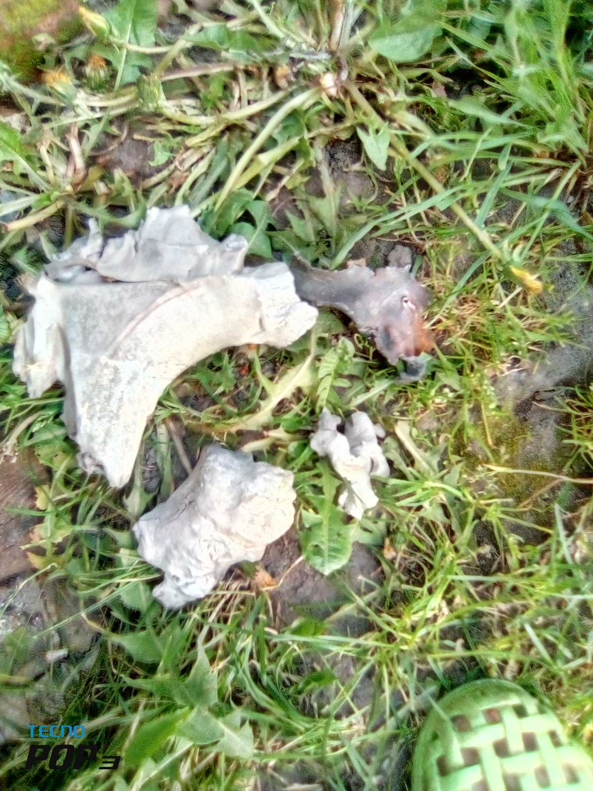 Осколок від авіабомби влучив у будинок родини з Сумщини