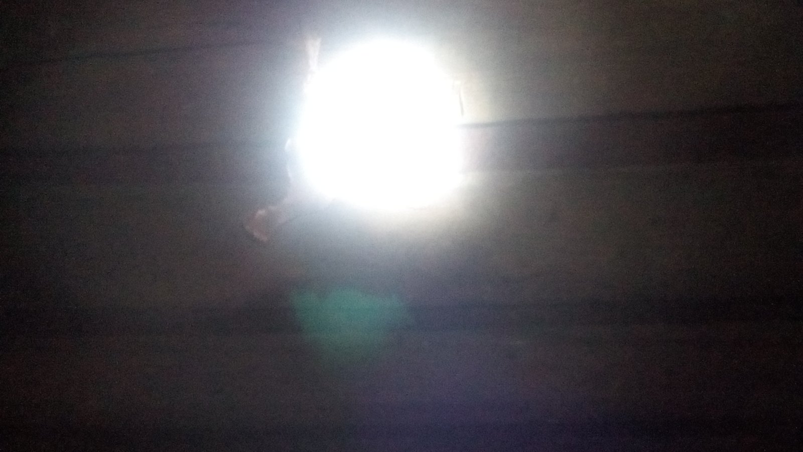 Майстер лісу з Середино-Буди просить допомоги