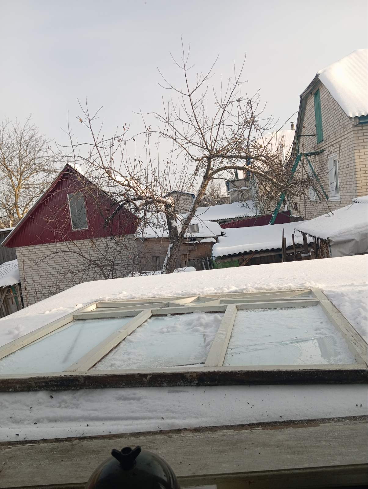 Подружжя з Кролевця просить допомогти замінити розбиті вікна