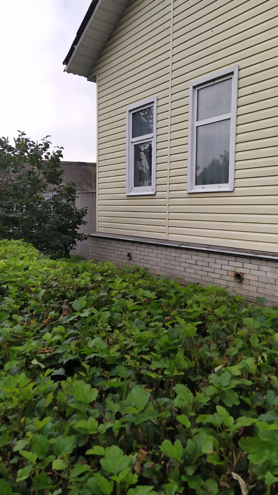 Жінка з Середино-Буди просить допомогти замінити вікна