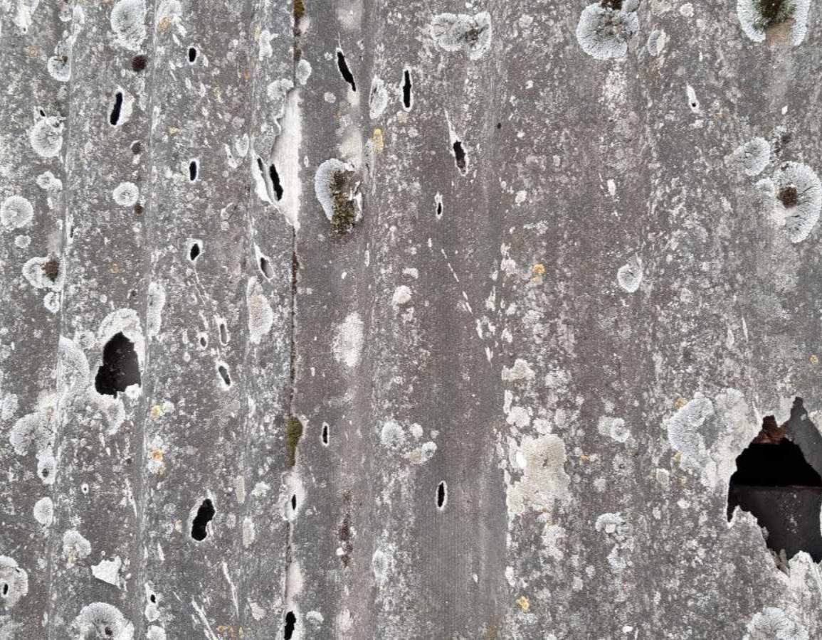 Непридатний для життя стан будинку 73-літньої пенсіонерки з Сумщини