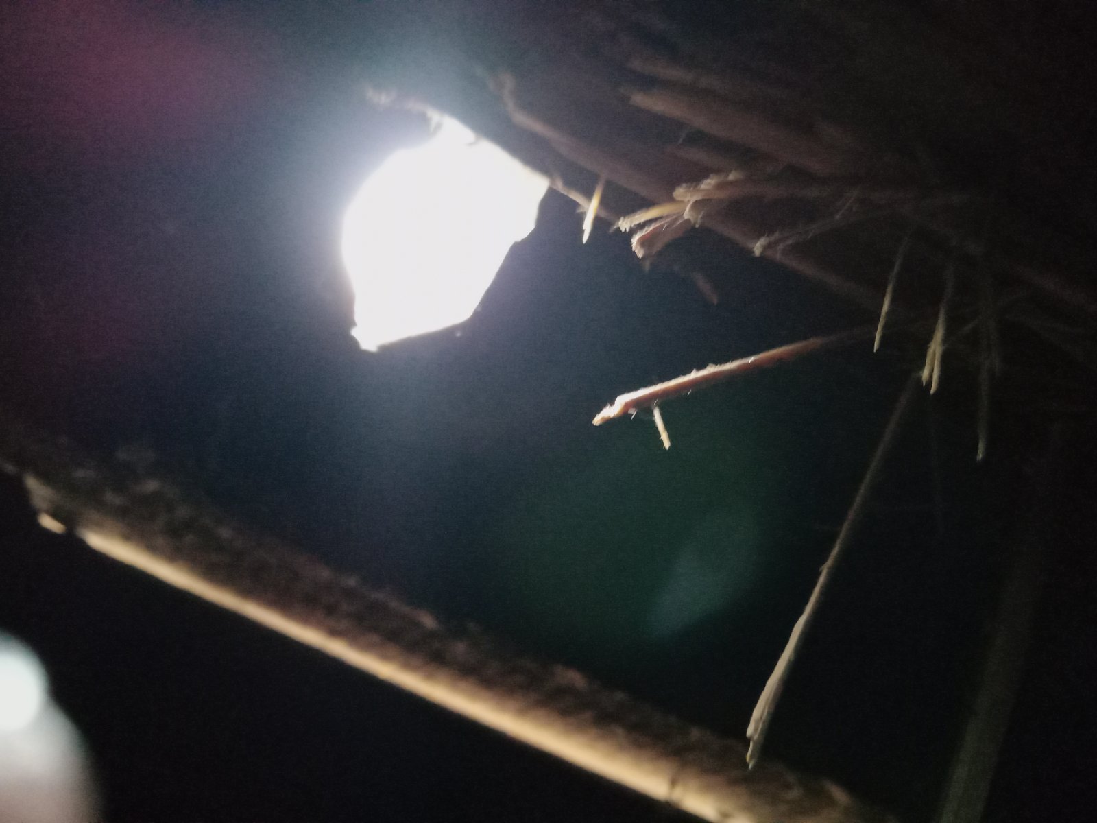 Родина вчительки з Миропілля мешкає в пошкодженому будинку