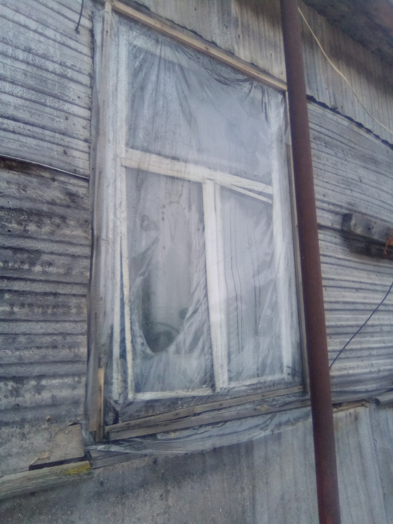 Жінка з двома дітьми мешкають в будинку з розбитими вікнами