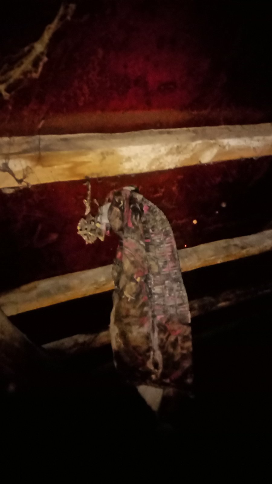 Без вікон та даху - обстріл на Сумщині