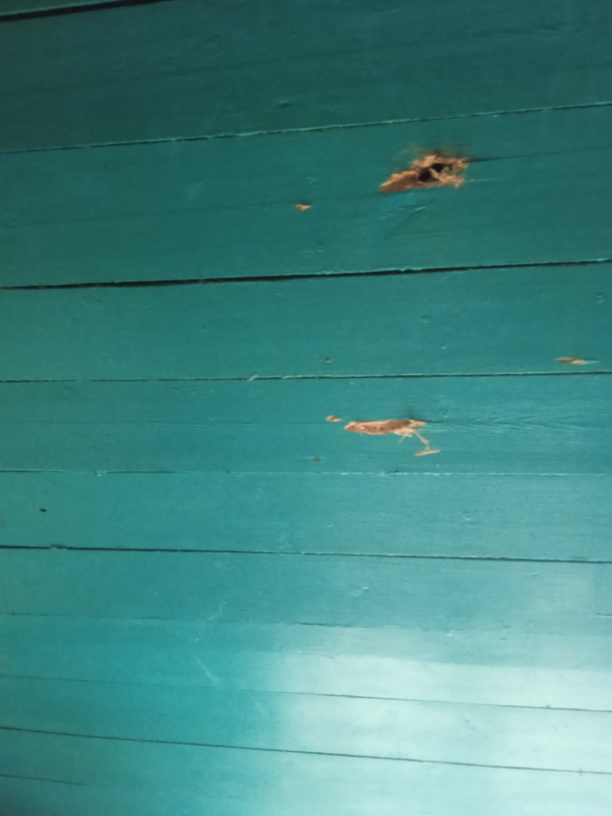 У будинку подружньої пари із села Локня пошкоджено вікна та дах